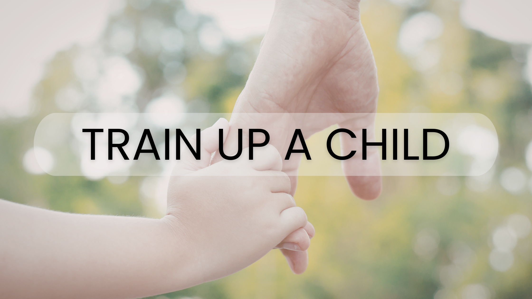 Train Up A Child