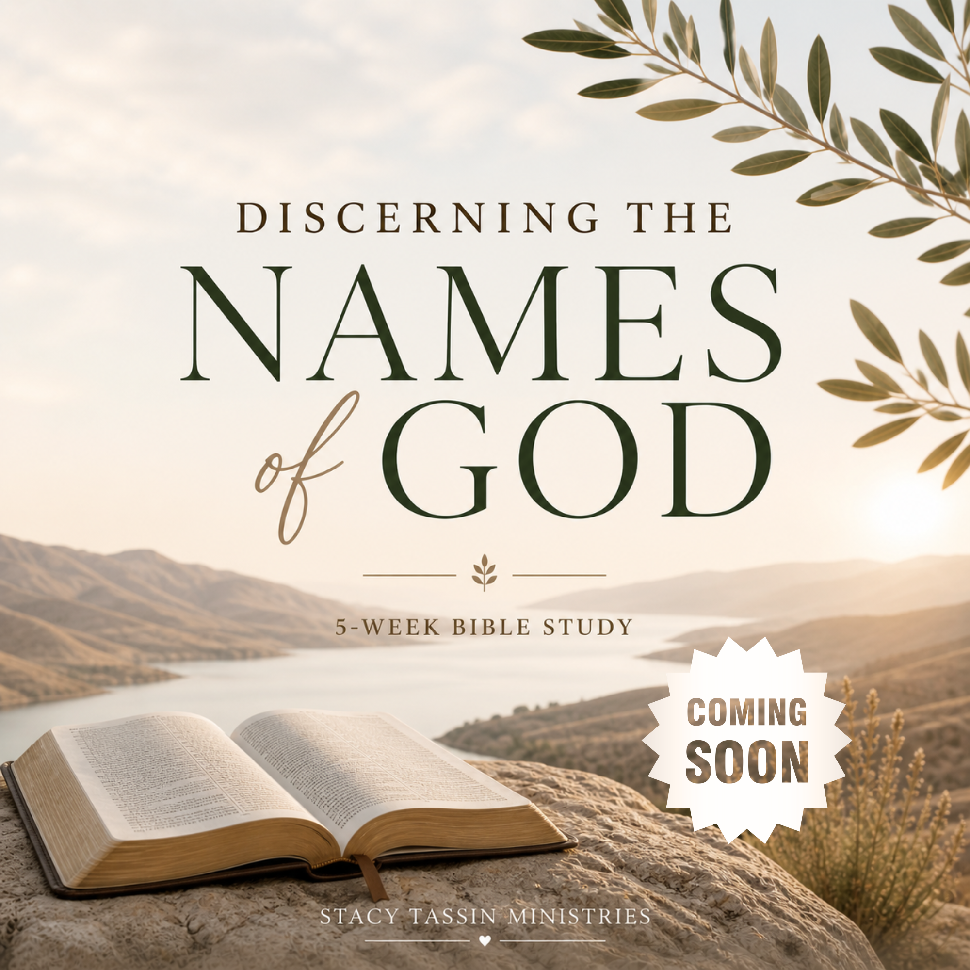 Discerning the Names of God: 5-Week Bible Study