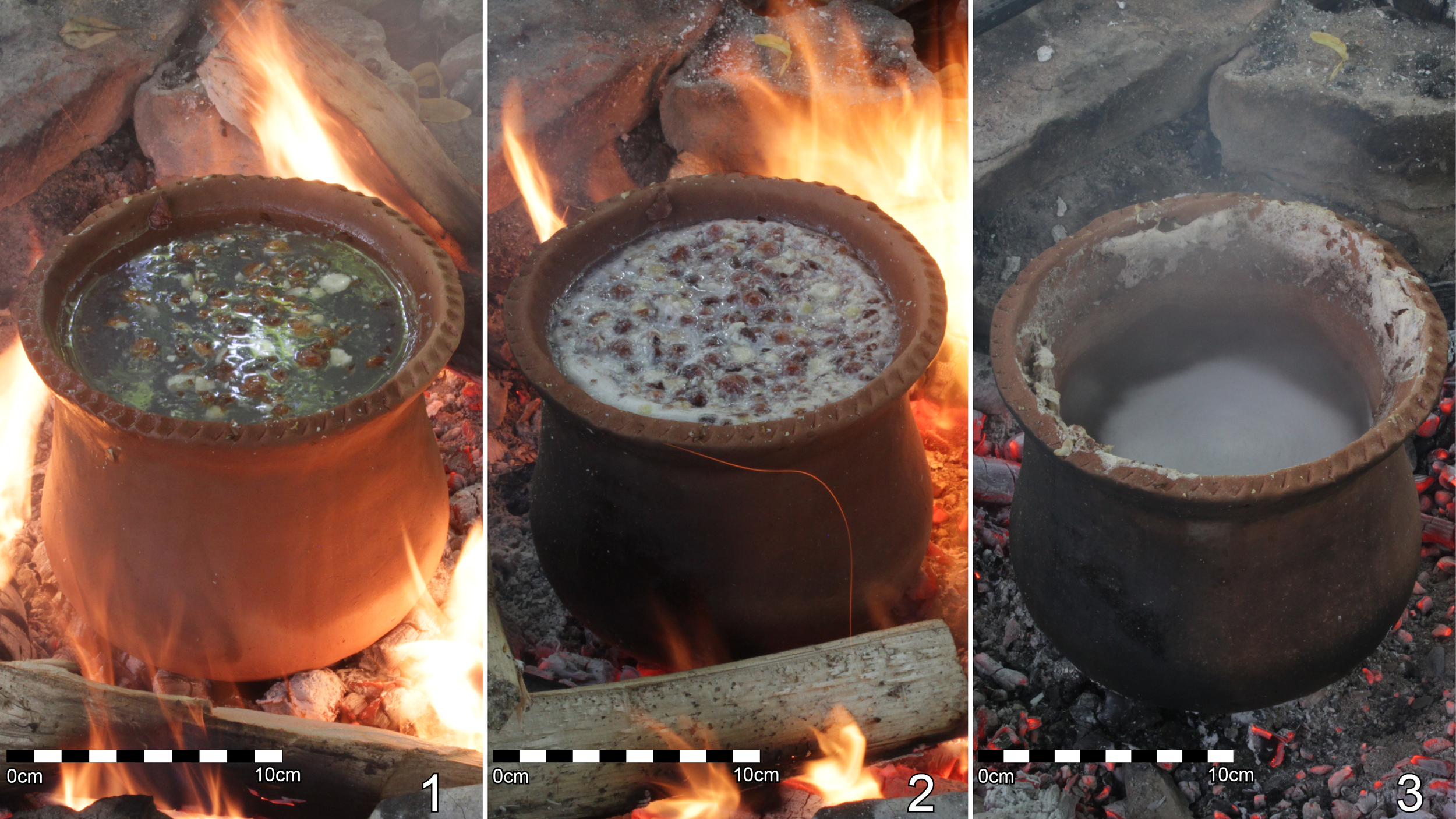 cooking_C.png