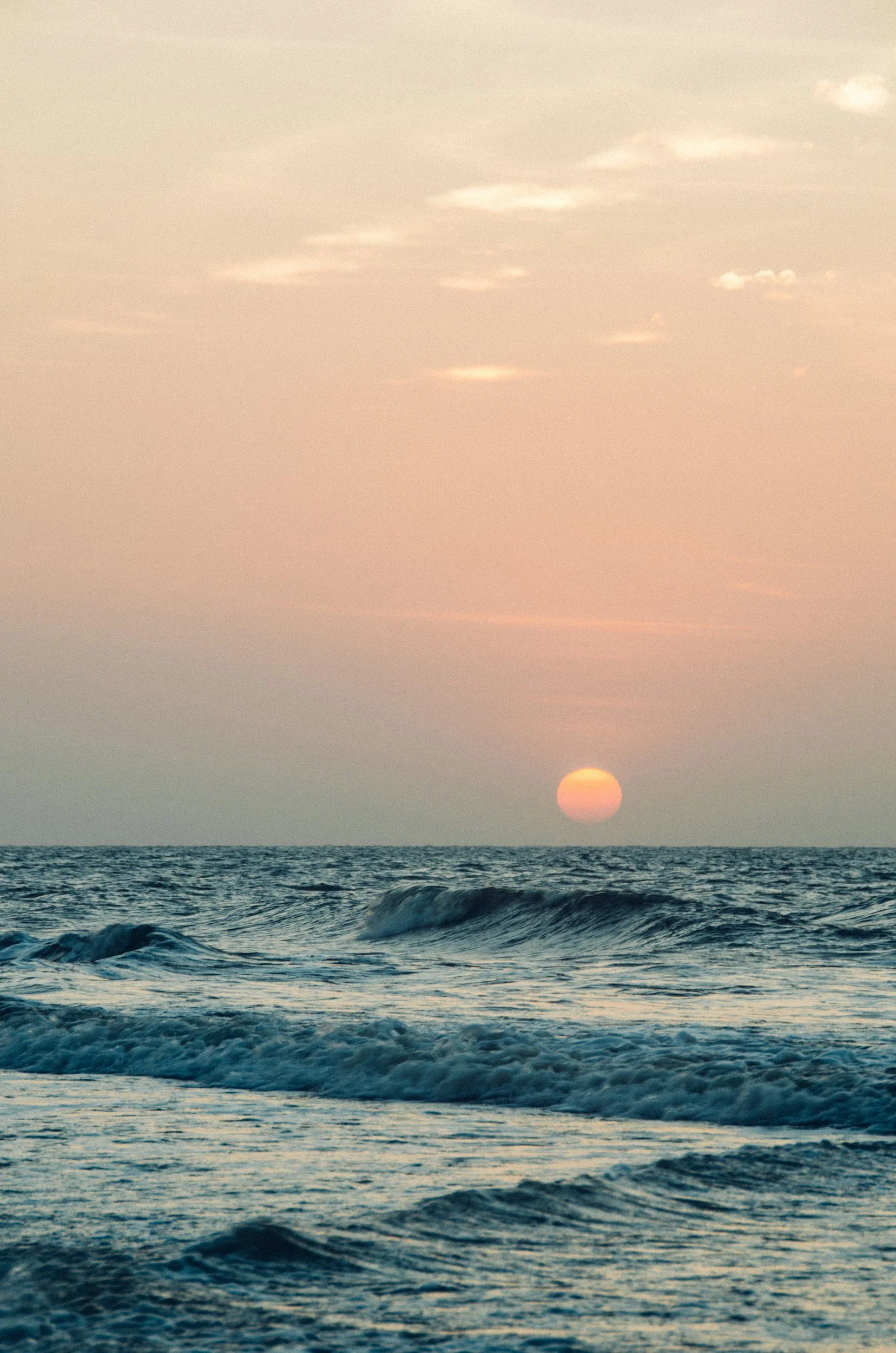 Why Reducing Everyday Toxins Matters—and How to Start Without the Overwhelm