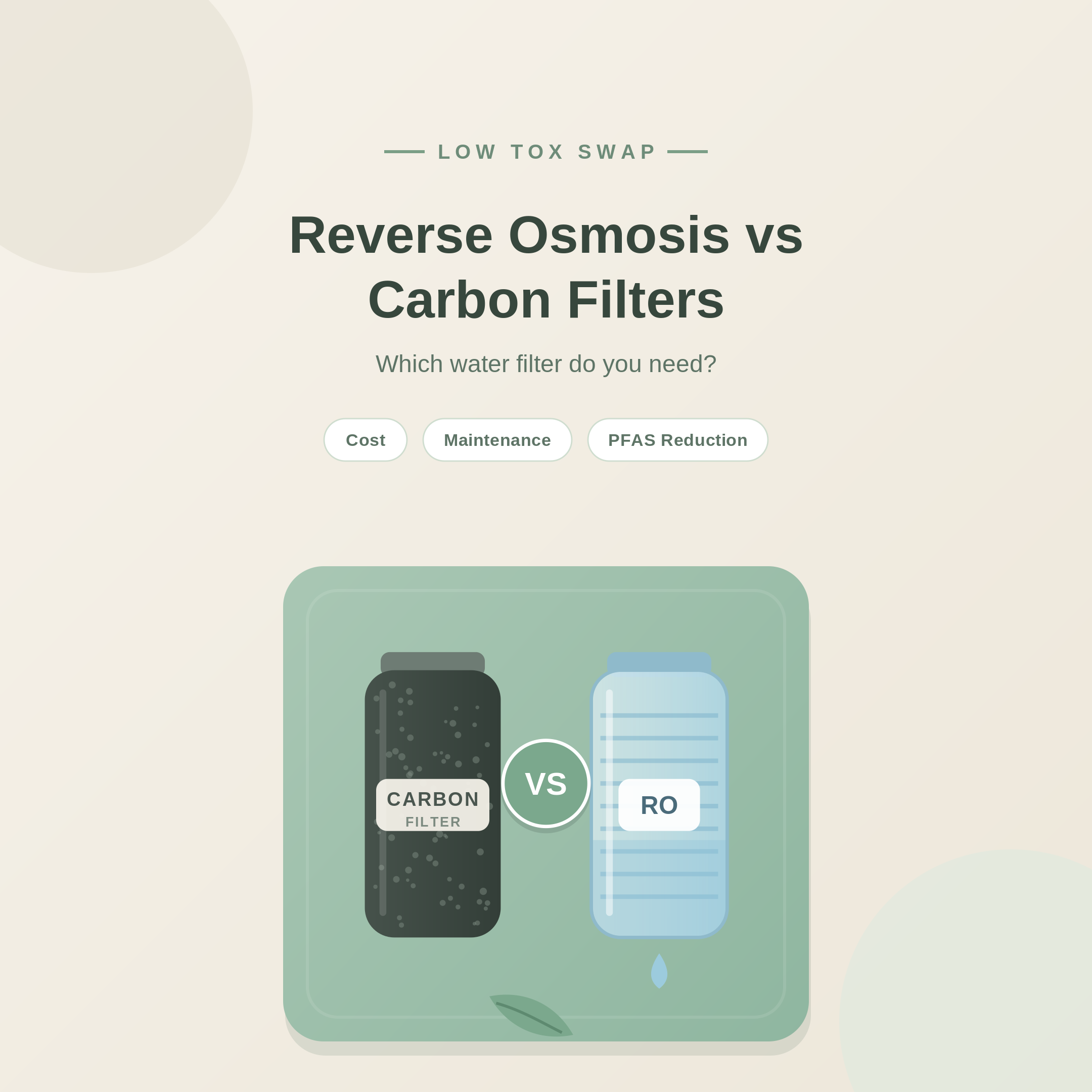 Reverse Osmosis vs Carbon Filters: Which Water Filter Do You Need?