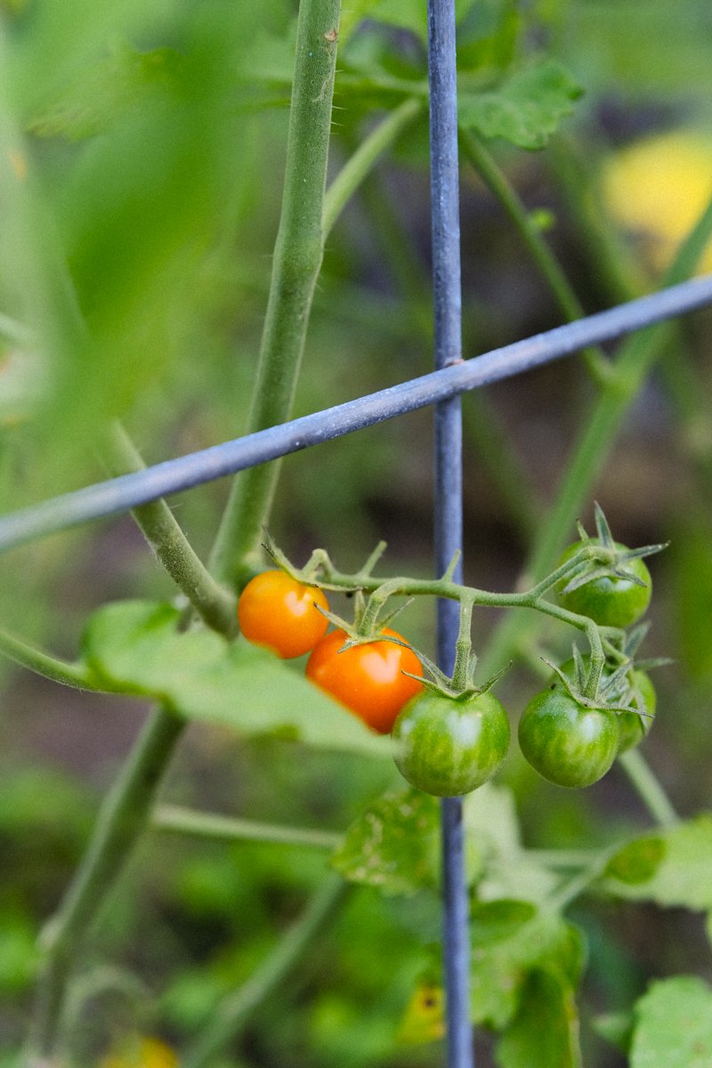 BAFTY selects-11.jpg