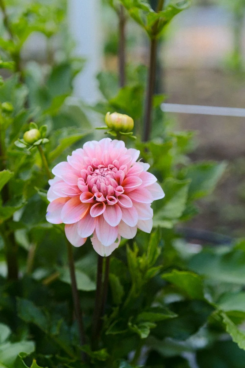 BAFTY selects-02.jpg