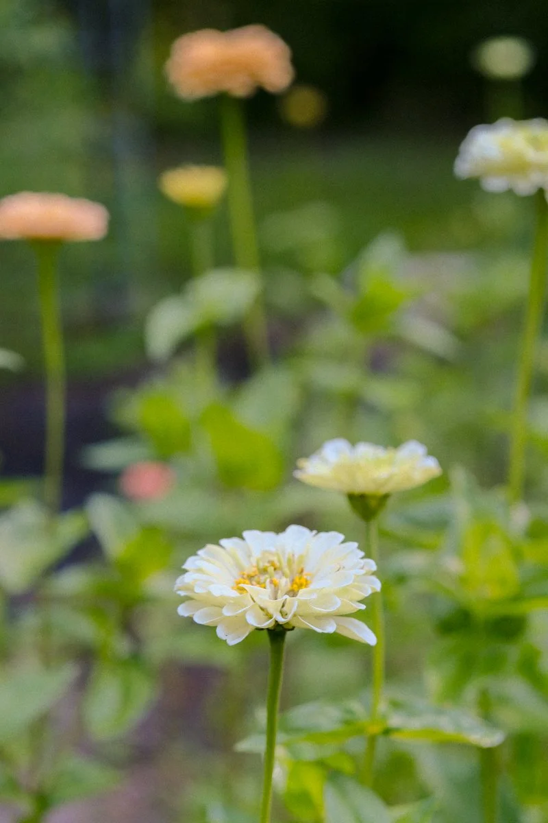 BAFTY selects-04.jpg