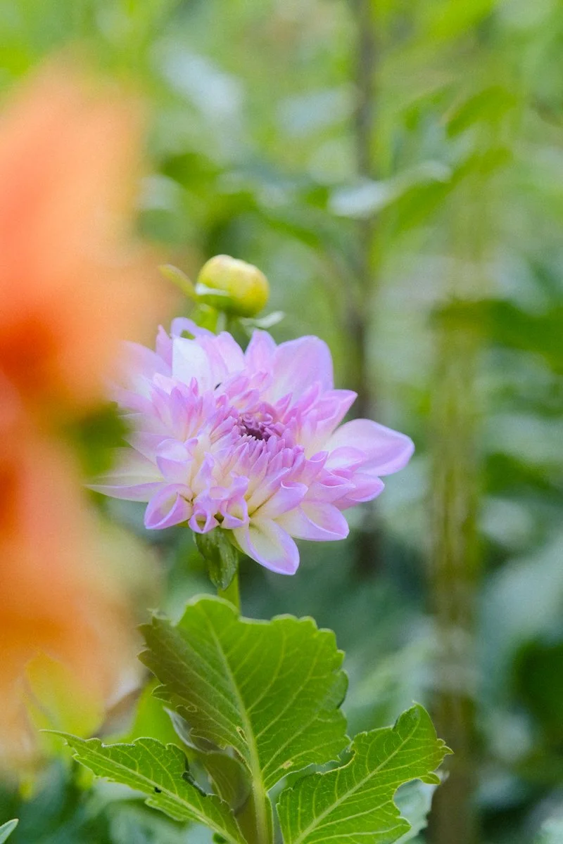 BAFTY selects-01.jpg