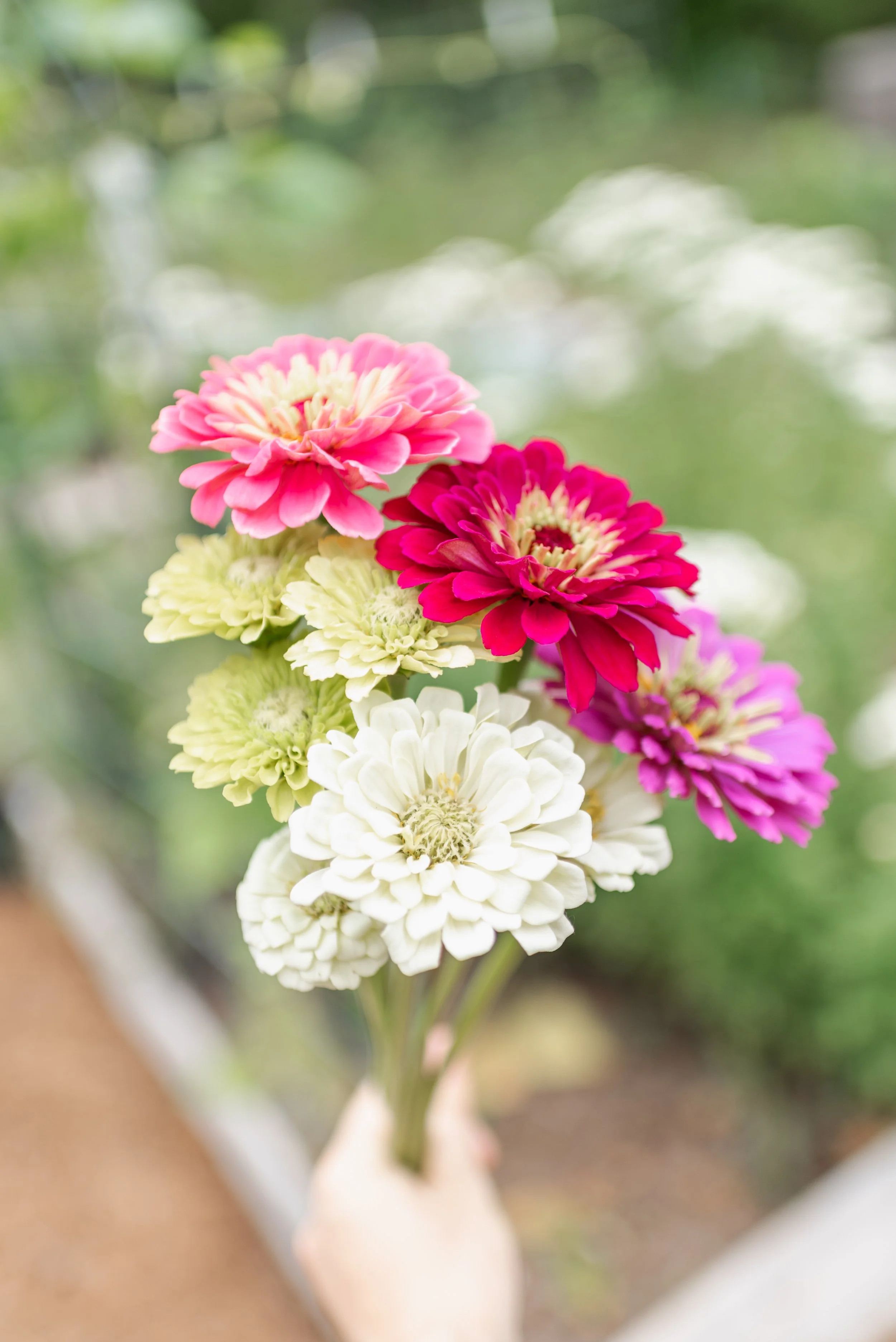 BaftyGarden053024-32.jpg