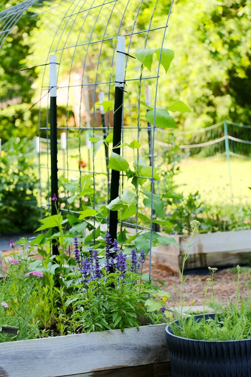 BAFTY selects-08.jpg