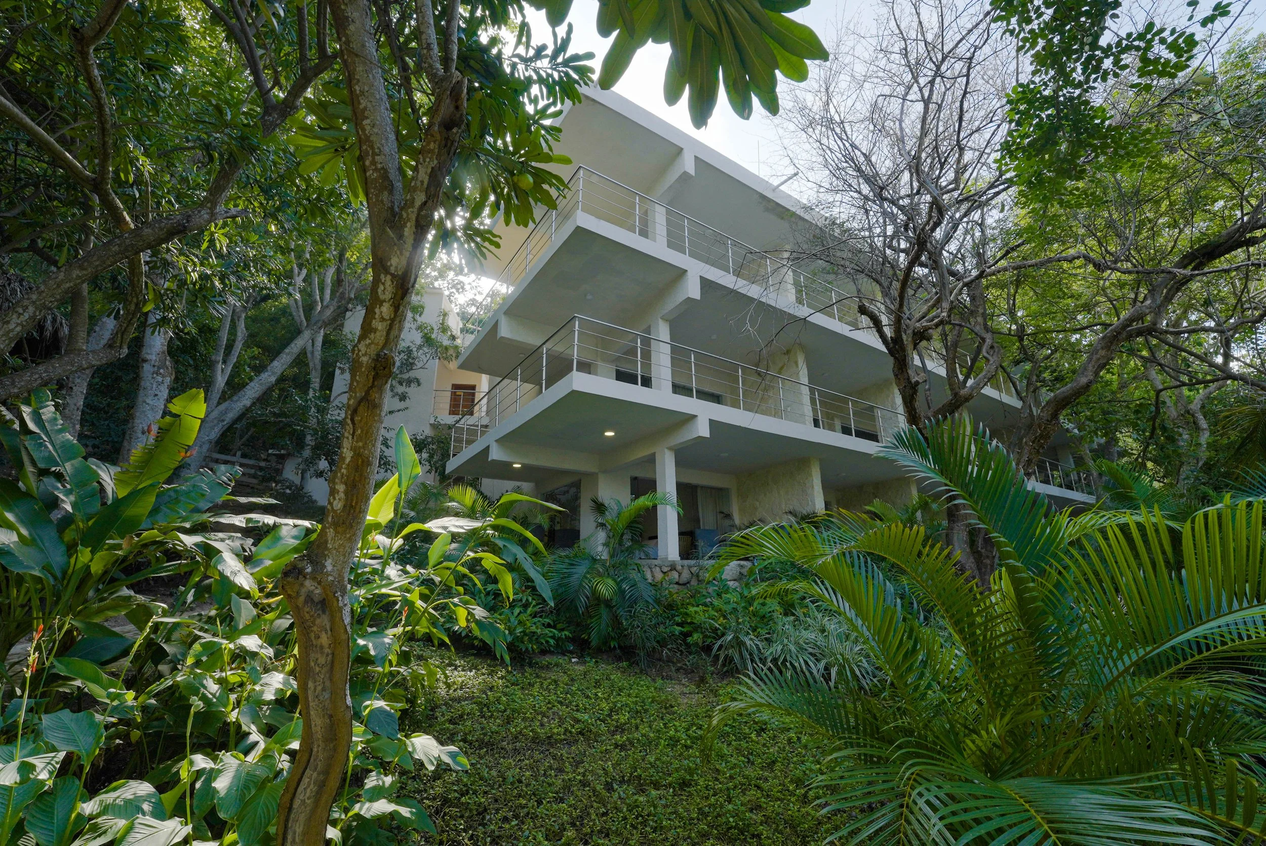 Multi-level modern retreat building nestled in lush greenery, surrounded by tropical trees and plants.