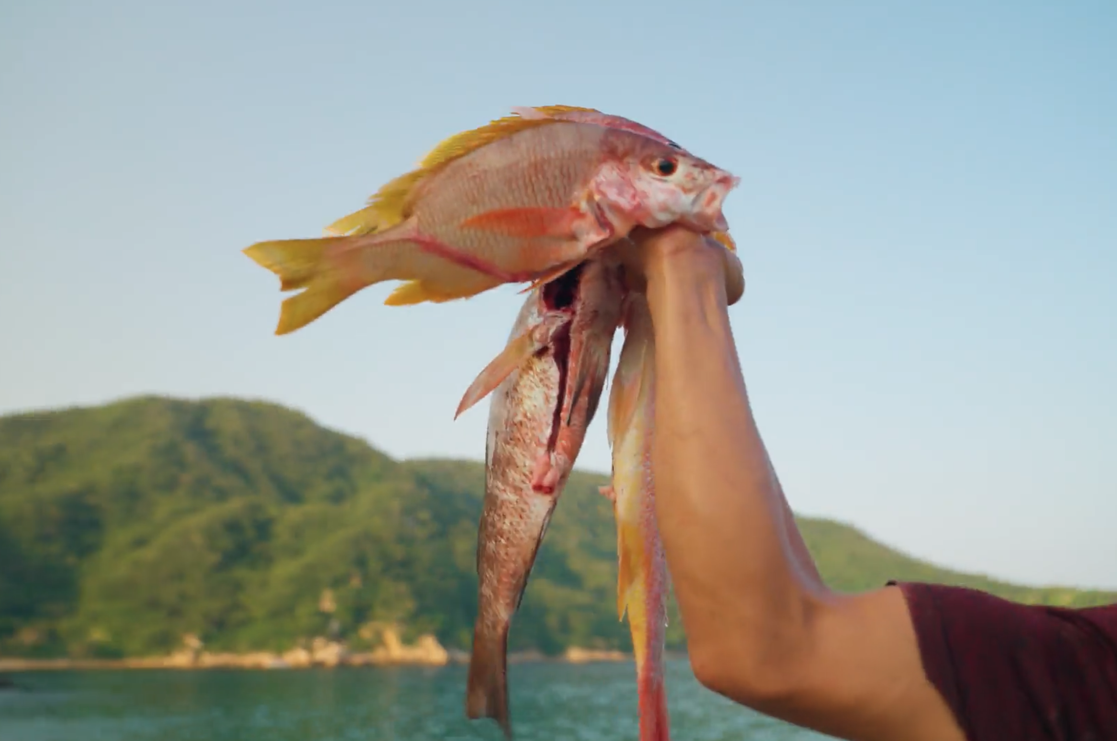  Local Fishing Experiences 
 
Join experienced local guides for fishing excursions that reflect the area’s authentic coastal culture. A hands-on experience that blends tradition, adventure, and fresh-caught meals.