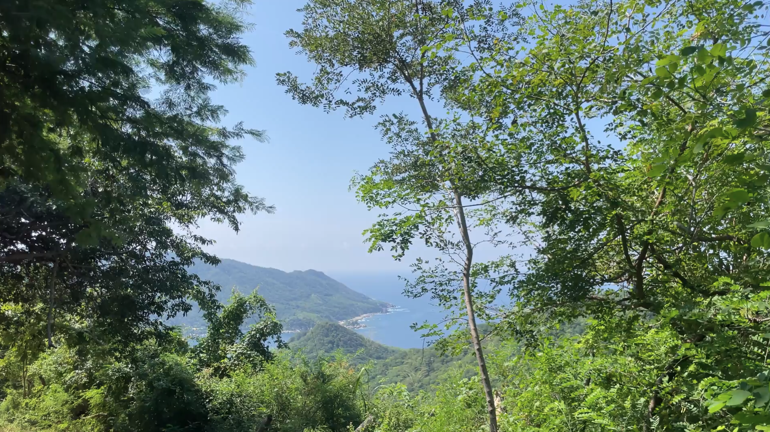  Guided Nature Hikes 
 
Explore jungle paths and coastal trails that connect the resort to nearby viewpoints and landmarks. Some routes are moderately active, so guests are encouraged to bring proper footwear.