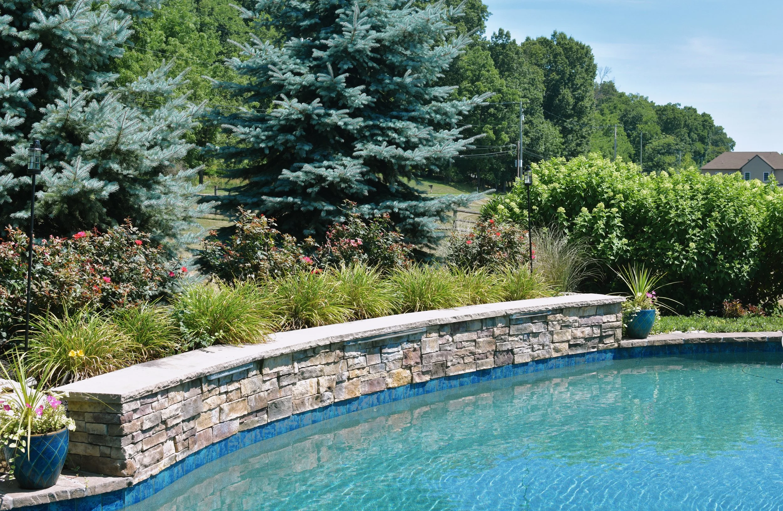 View of a backyard with a stone wall bordering a swimming pool, surrounded by greenery including tall pine trees, shrubs, and flowering plants, with houses and utility poles visible in the background under a bright blue sky.