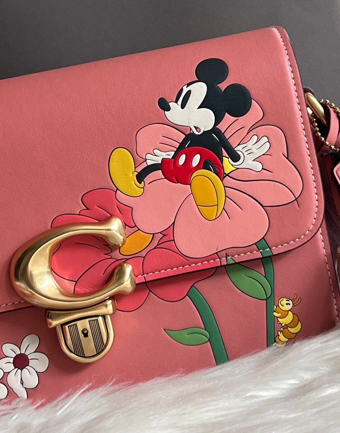 Coach x Character Collaborations