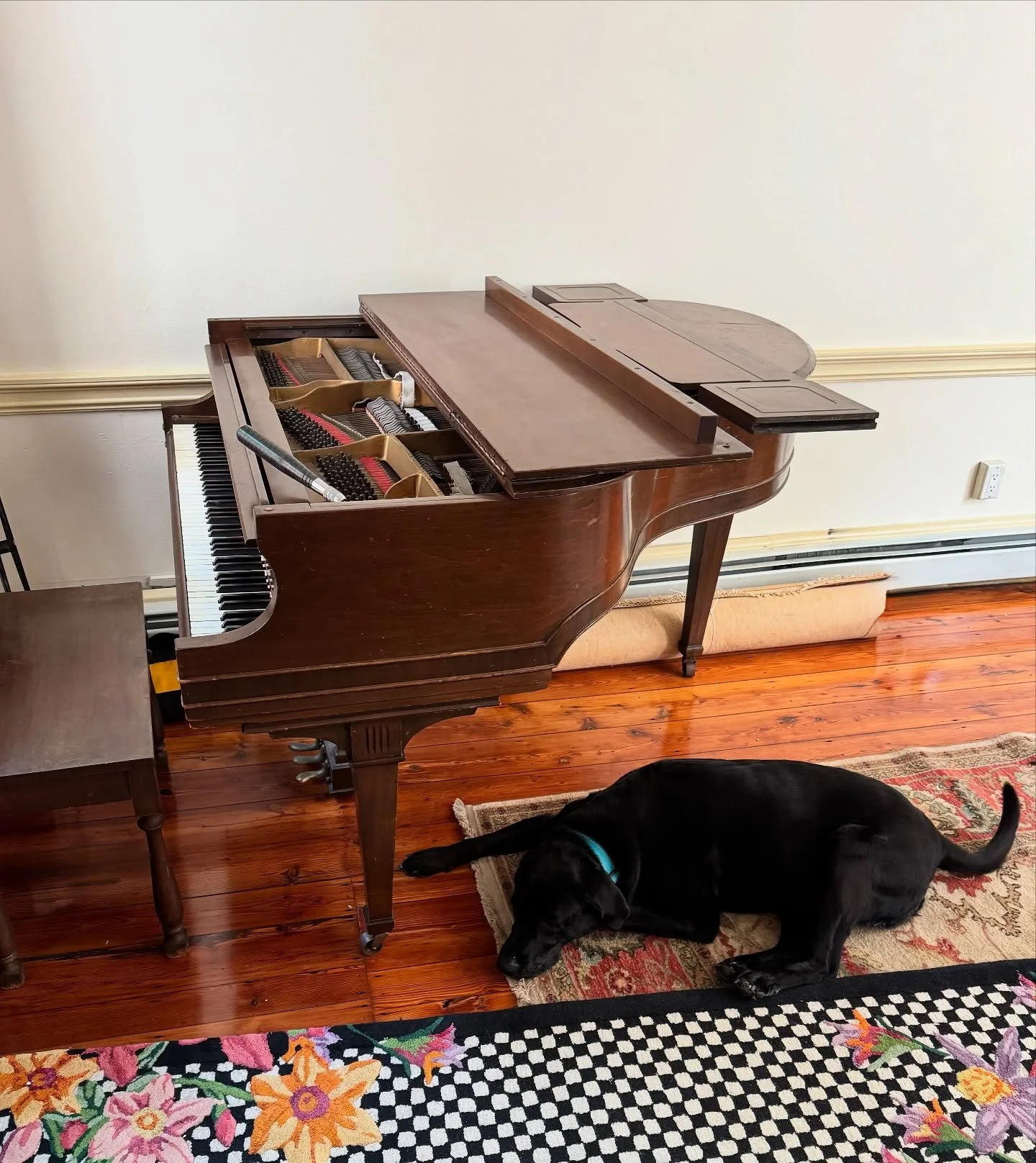 I had some help while tuning this Welte baby grand!!! 🐾