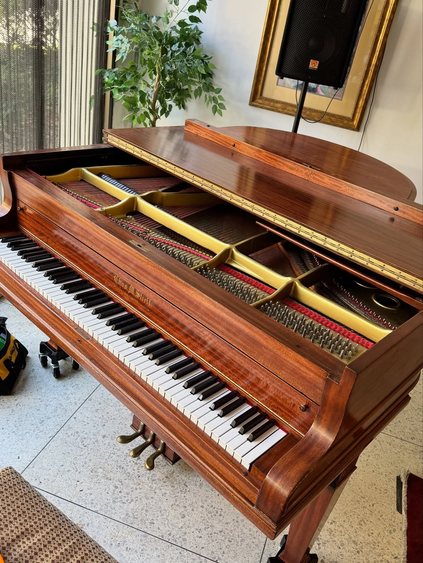This Charles Stieff baby grand was in great shape! Got a fresh tuning just in time for the concert 🎹