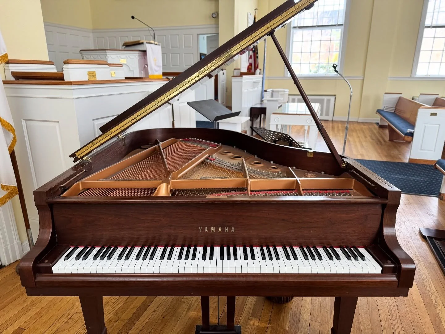 POV: Trying to figure out if looking at the piano counts as practice 🤷&zwj;♂️🎶 #music #piano