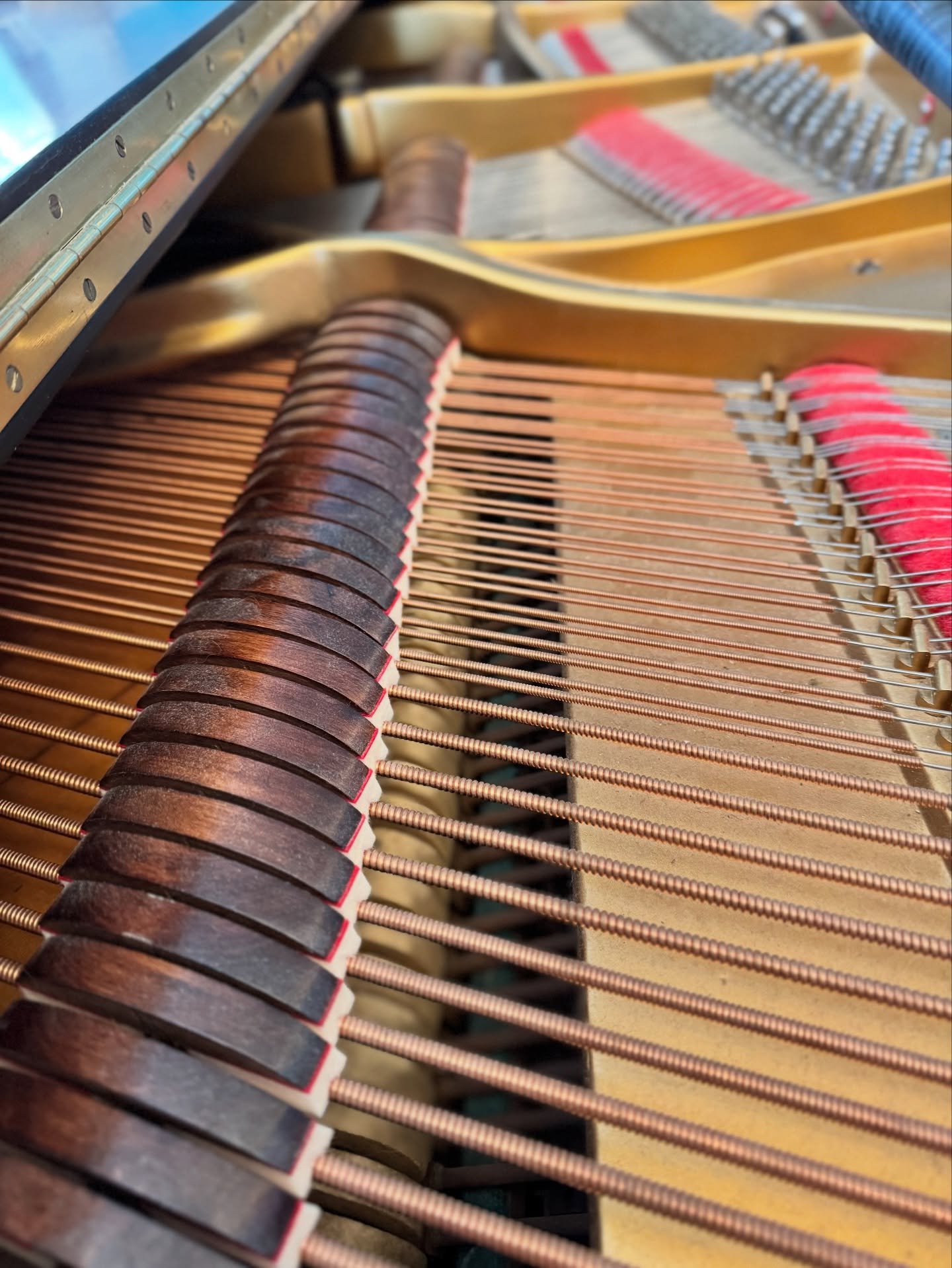 Love these dampers on a Kimball grand that I tuned 🔨🎹 #piano #philadelphia #buckscounty #jenkintown #music