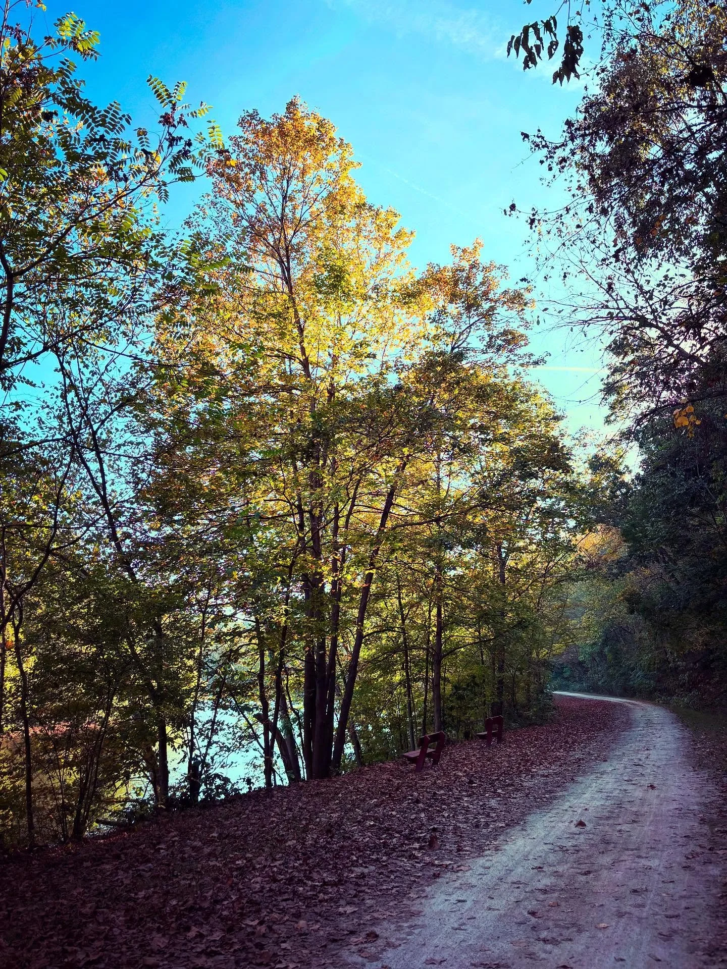 When reluctant to change, remember the beauty of autumn 🍂 Change rarely feels graceful in real time. It&rsquo;s awkward, messy, and uncertain.
But much like autumn, what feels like loss is often a quiet unfolding into something more honest and true.