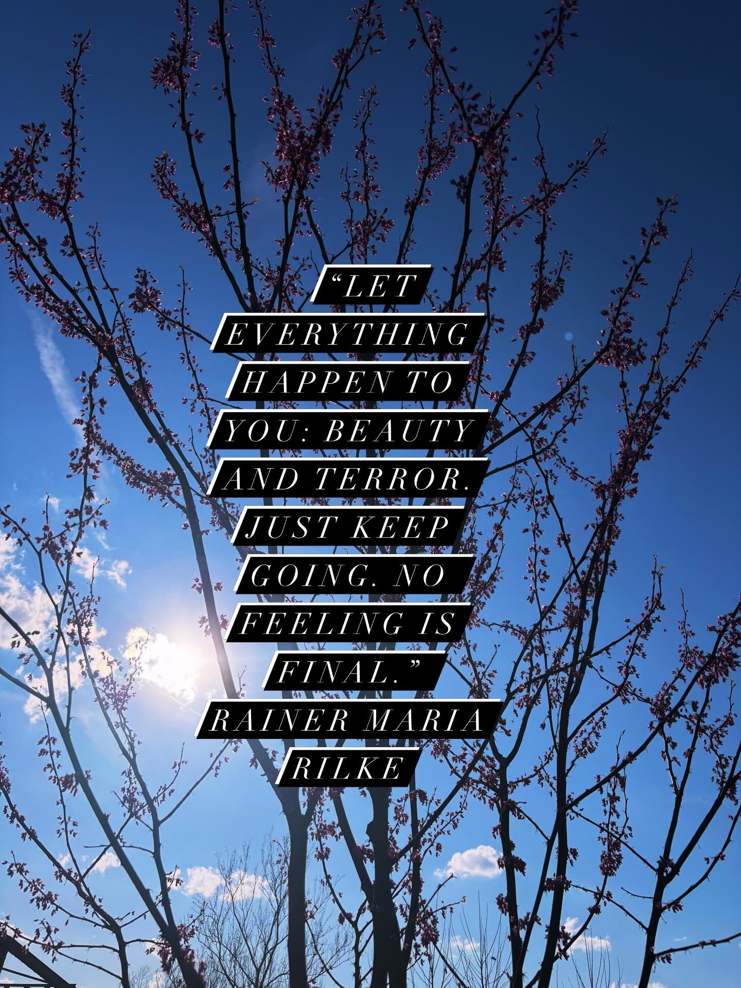 OCD and anxiety will try to convince you that discomfort is dangerous&hellip; that you need to fix it, solve it, escape it.

But what if you didn&rsquo;t?
What if you let the feeling be there and kept living anyway?

You are capable of carrying disco