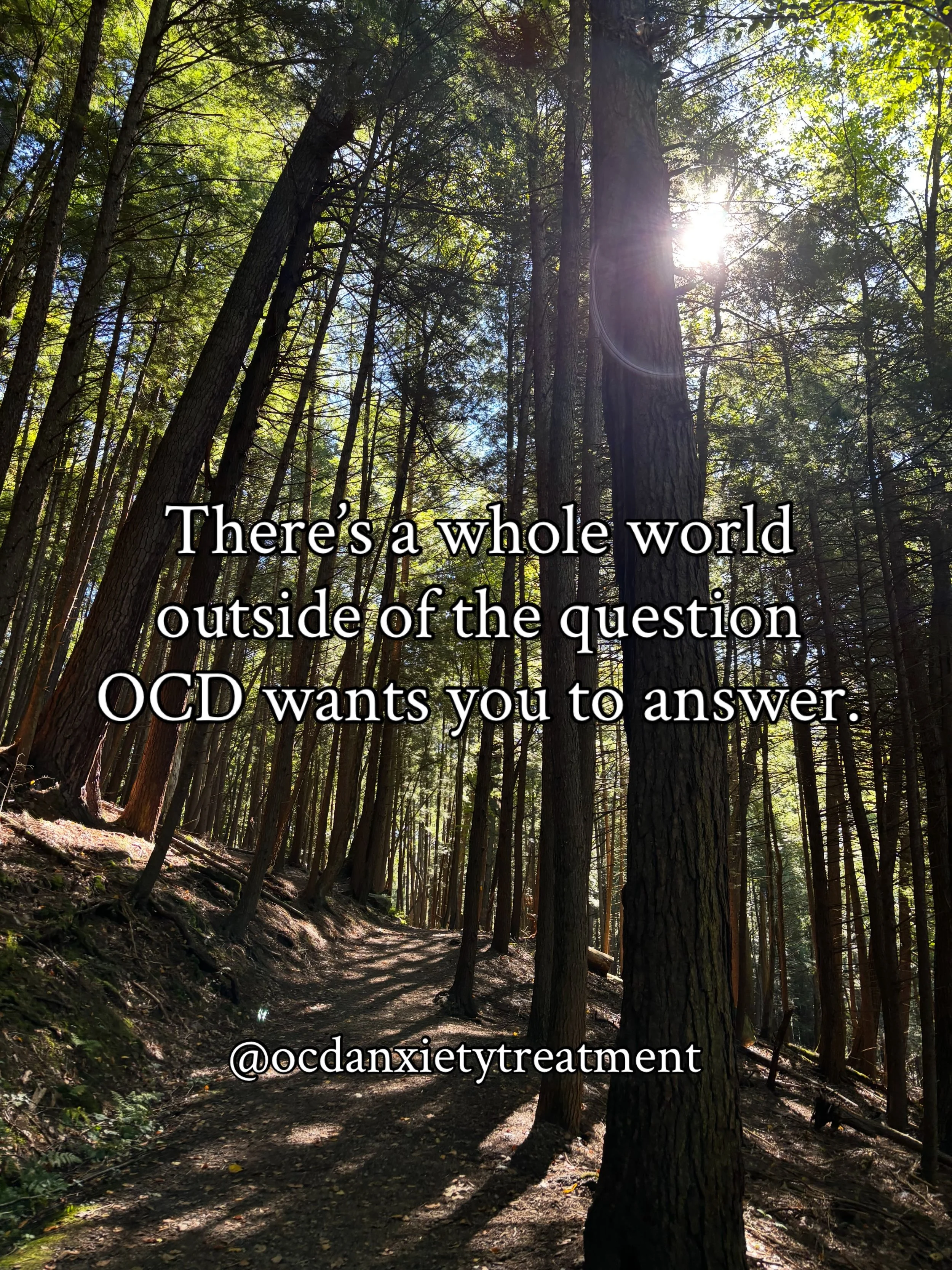 OCD has a way of making one question feel like the most important thing in the room.

What if?
What does this mean?
How do I really feel?
What if I&rsquo;m wrong?
Can I be completely sure?

And suddenly, so much of your attention is going toward tryi