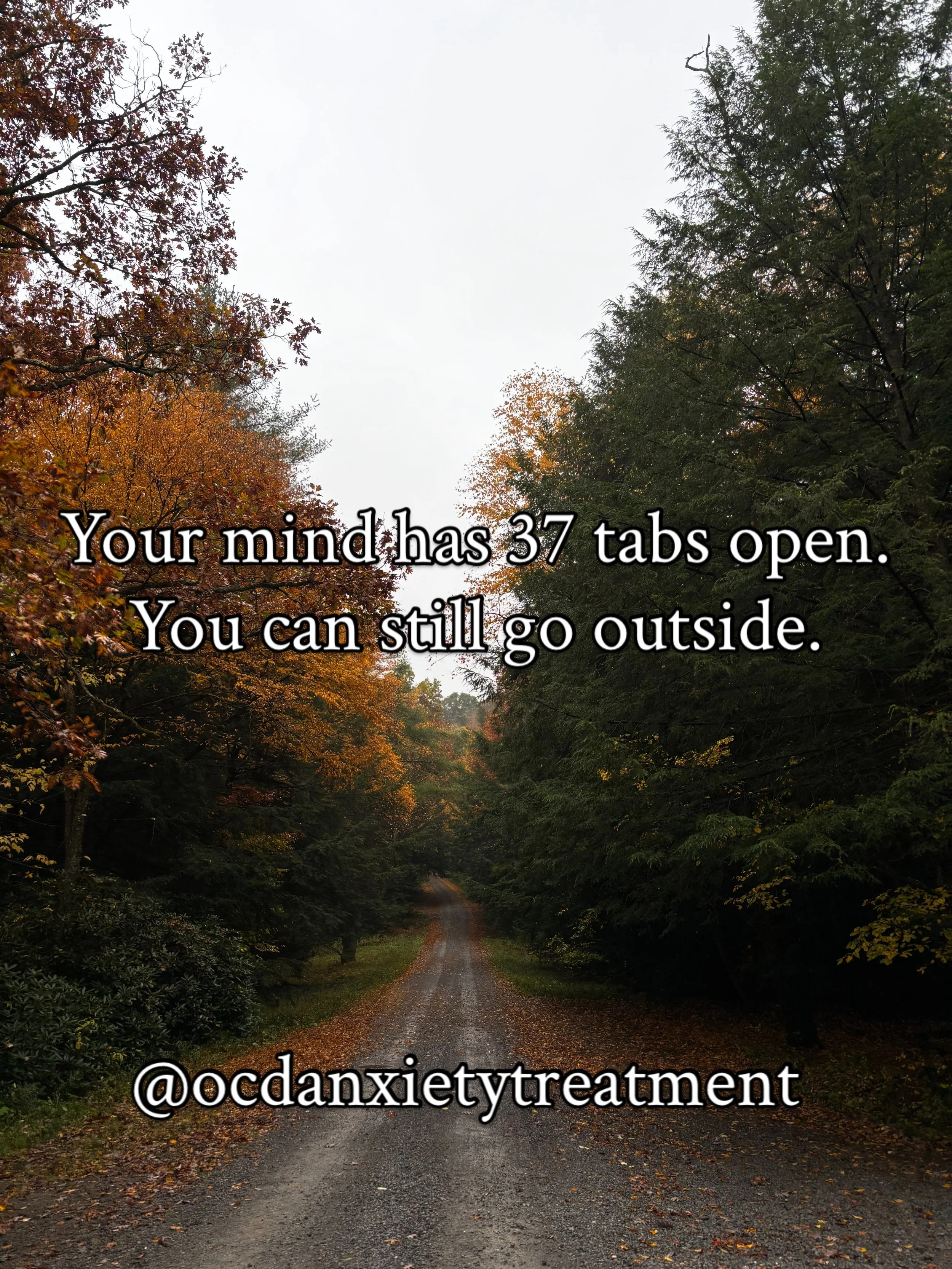 Gentle reminders for your Sunday 🍁. #ocd #anxiety #nature #ocdawareness #fall