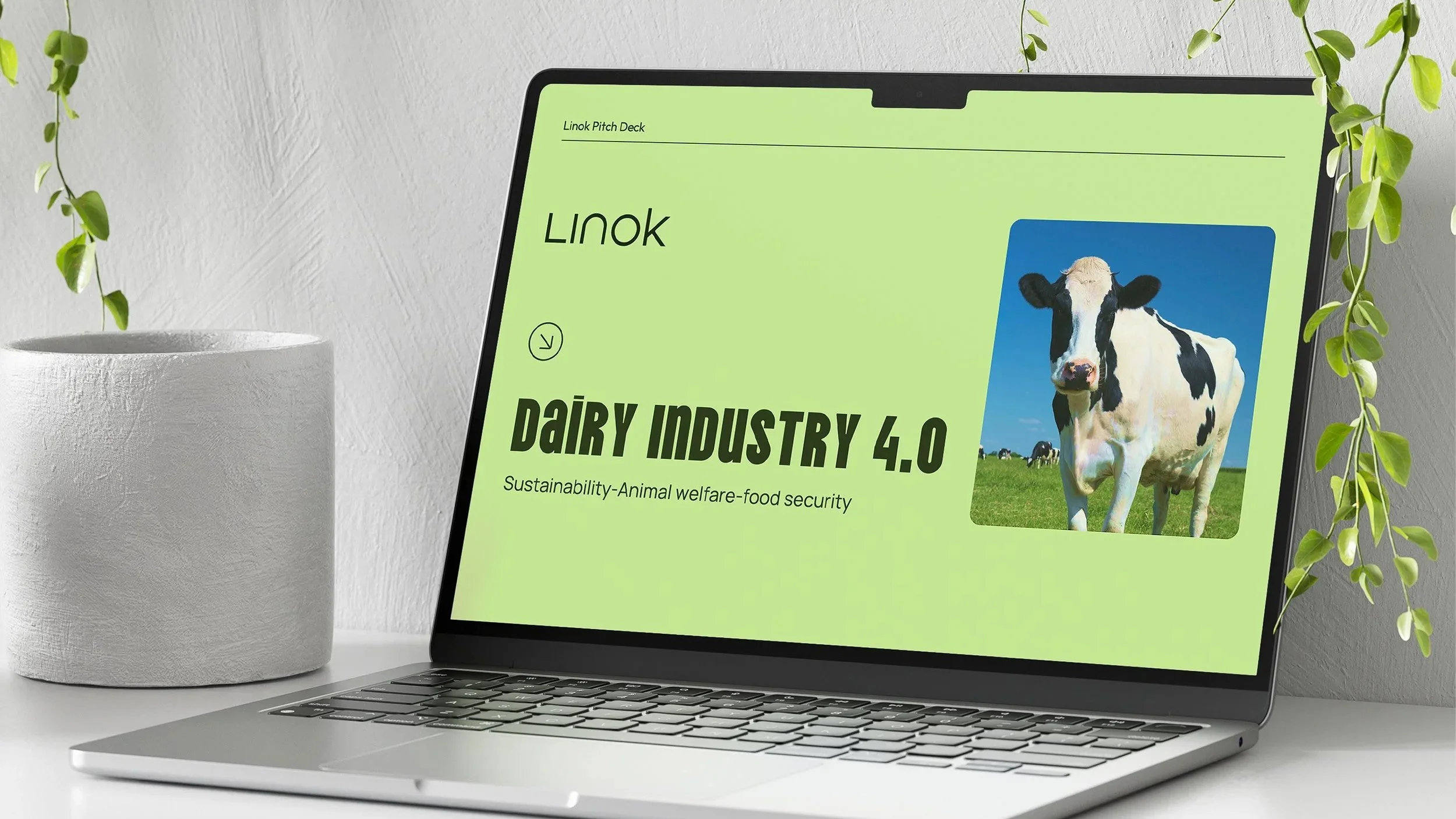 Linok mockup0.jpg