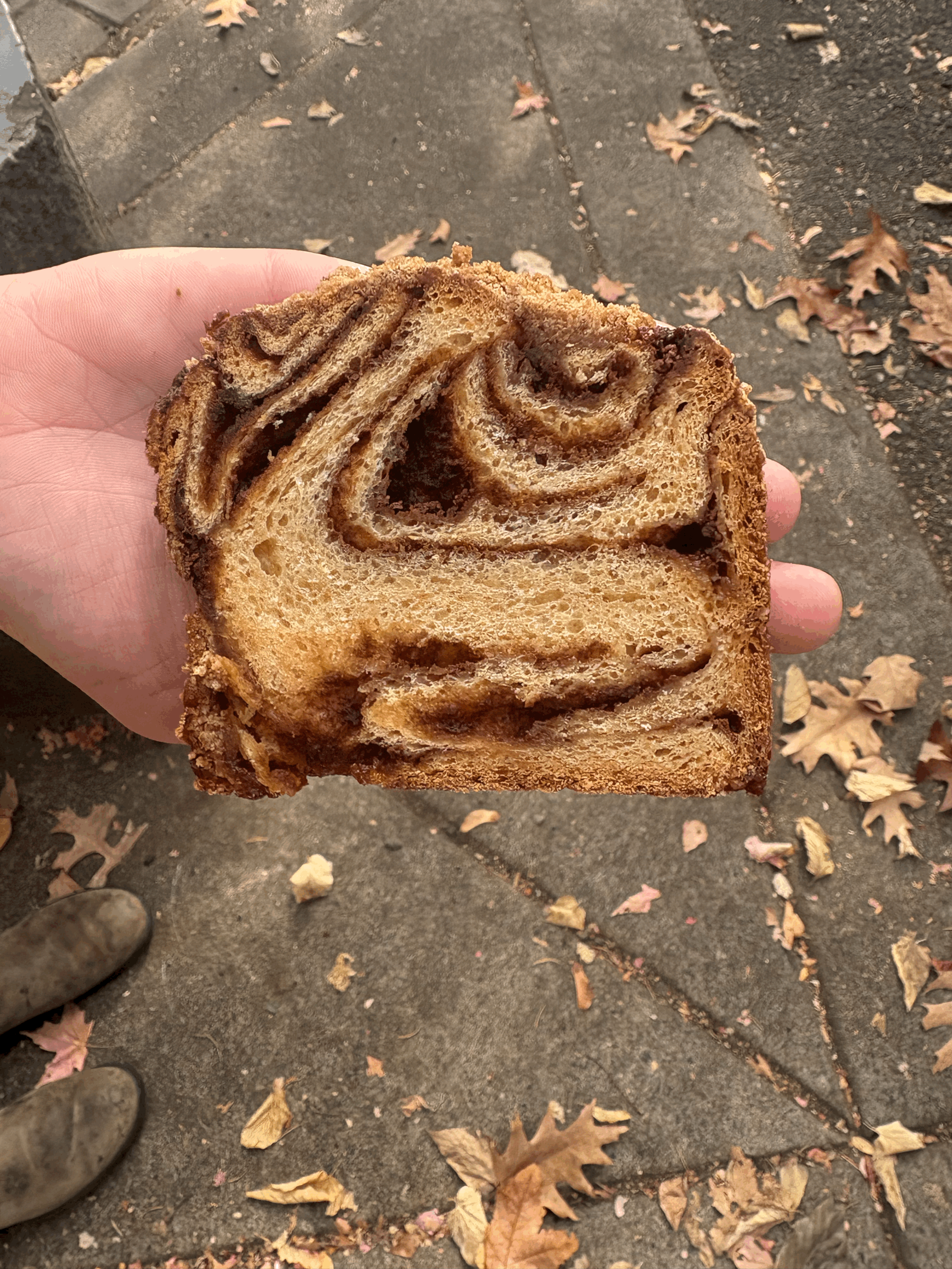 Sourdough Cinnamon Babka