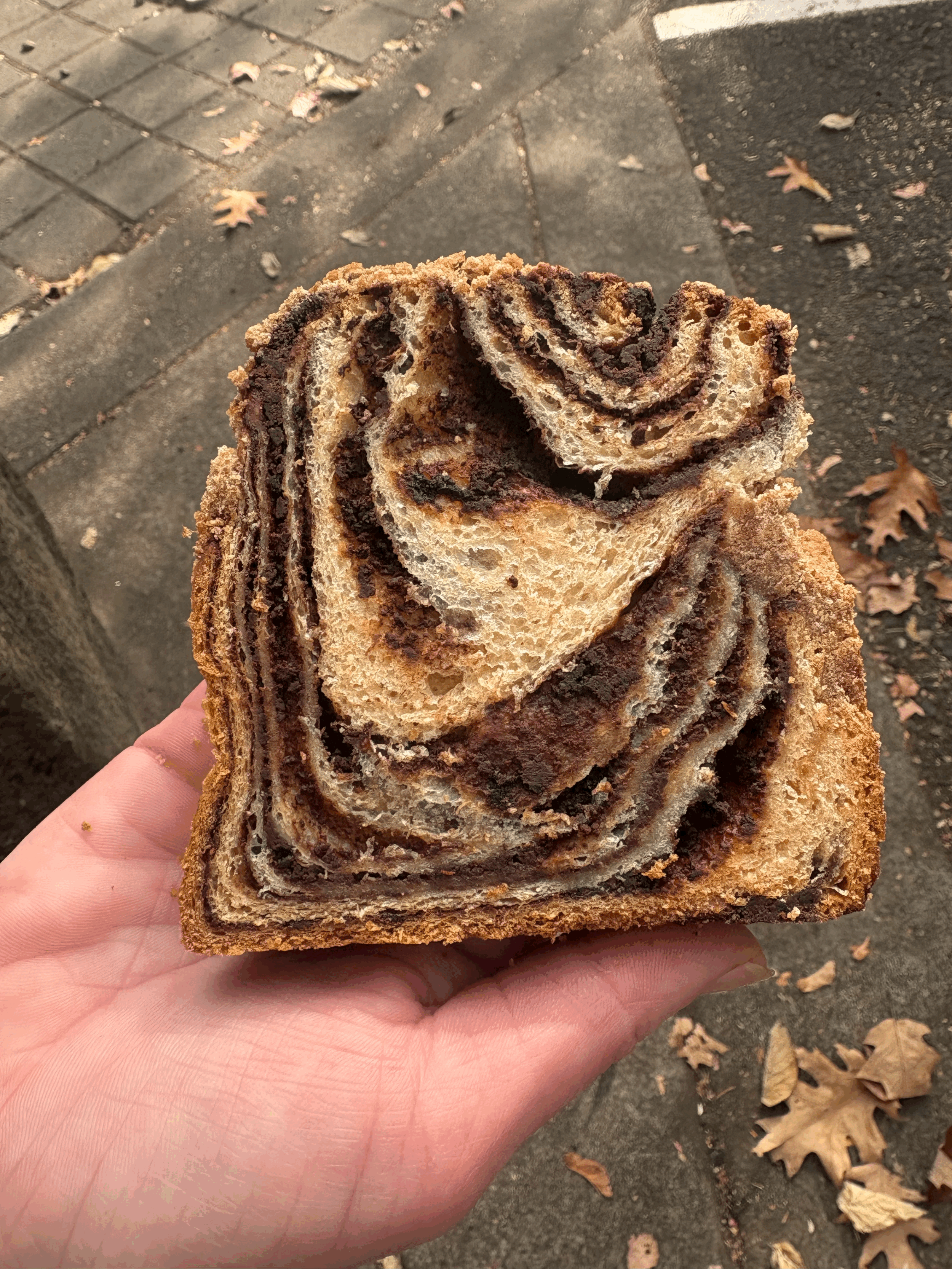Surdough Chocolate Cardamom Coffee Babka