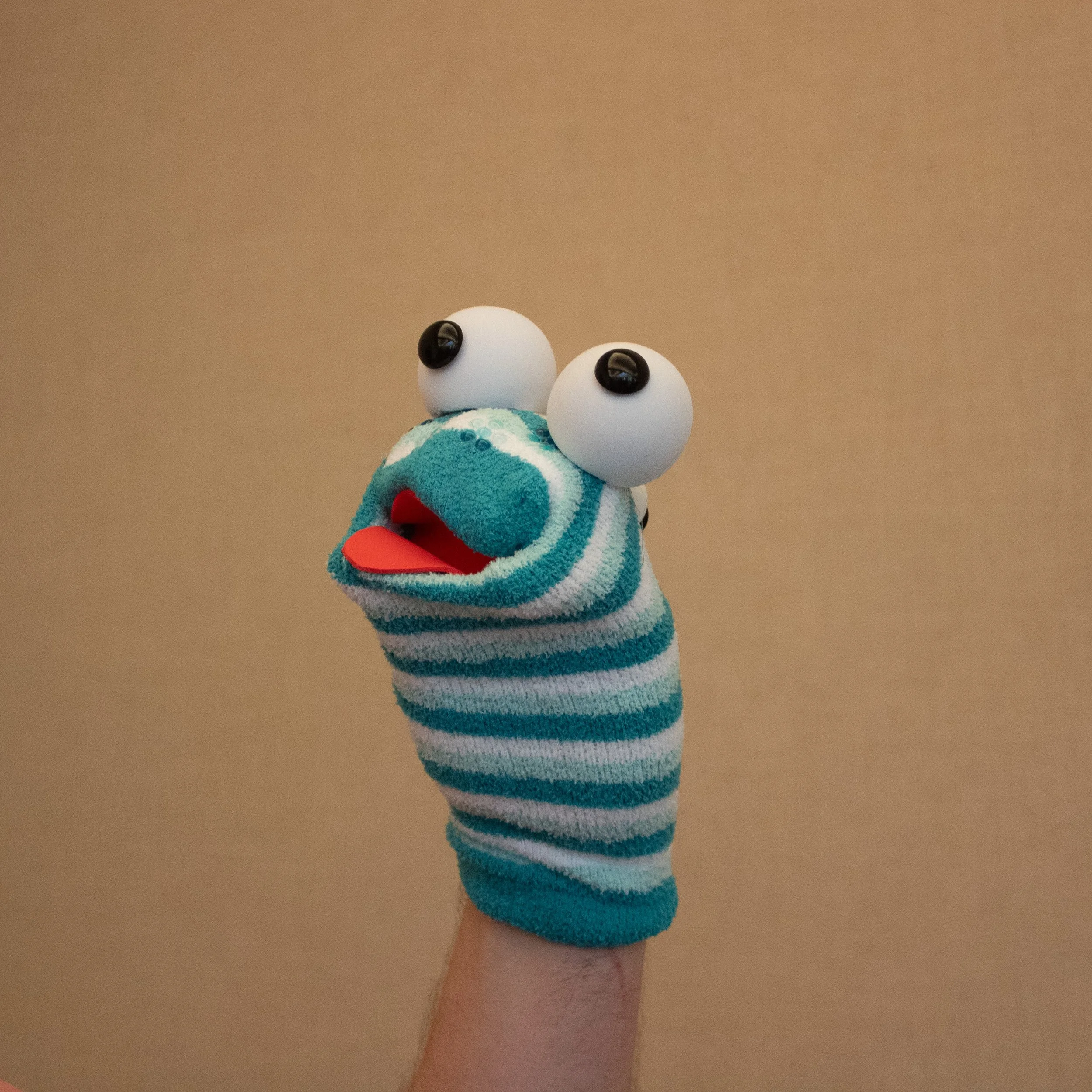 Silly Sock Puppets