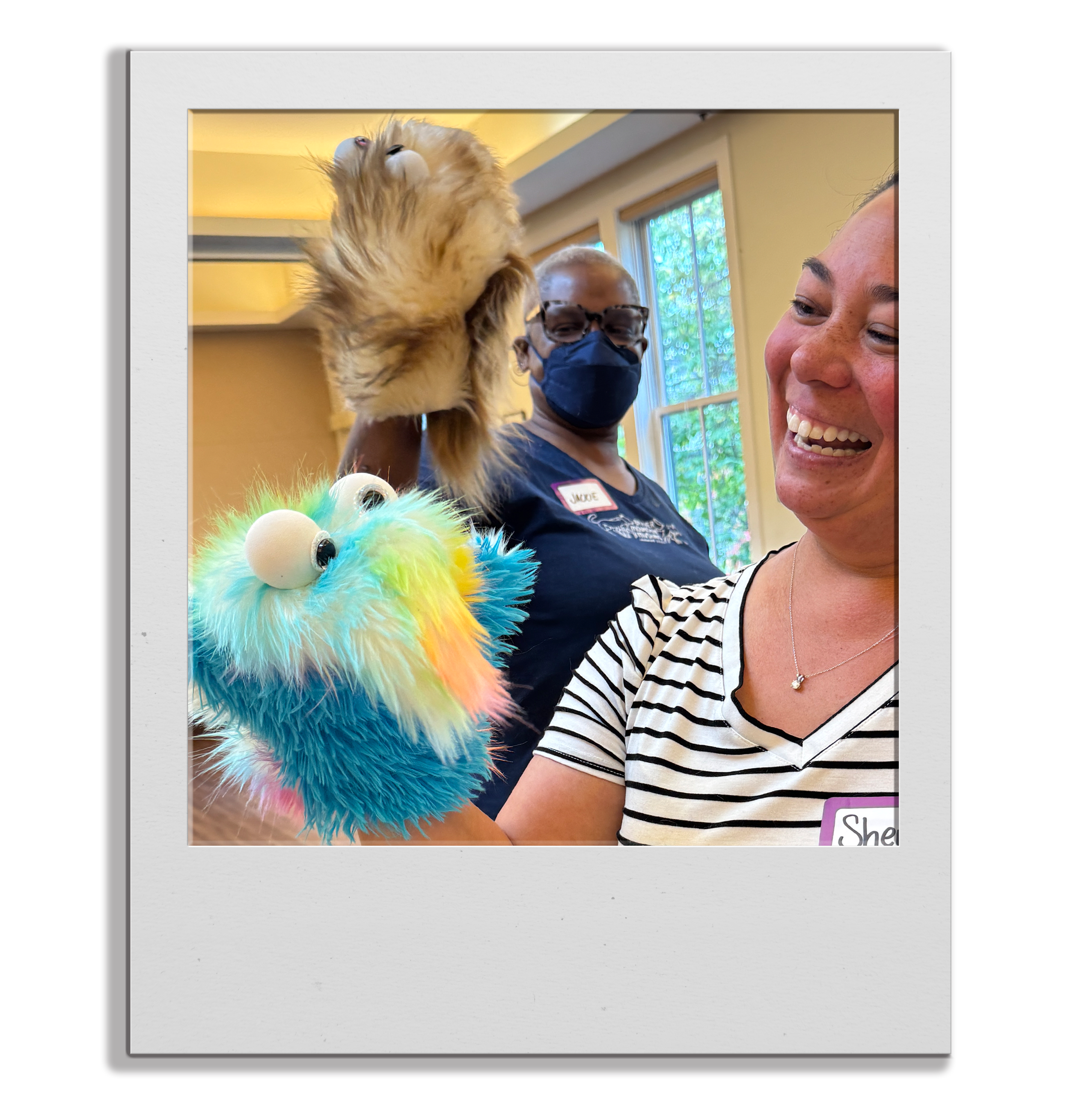 Meet your new favorite furry sidekick