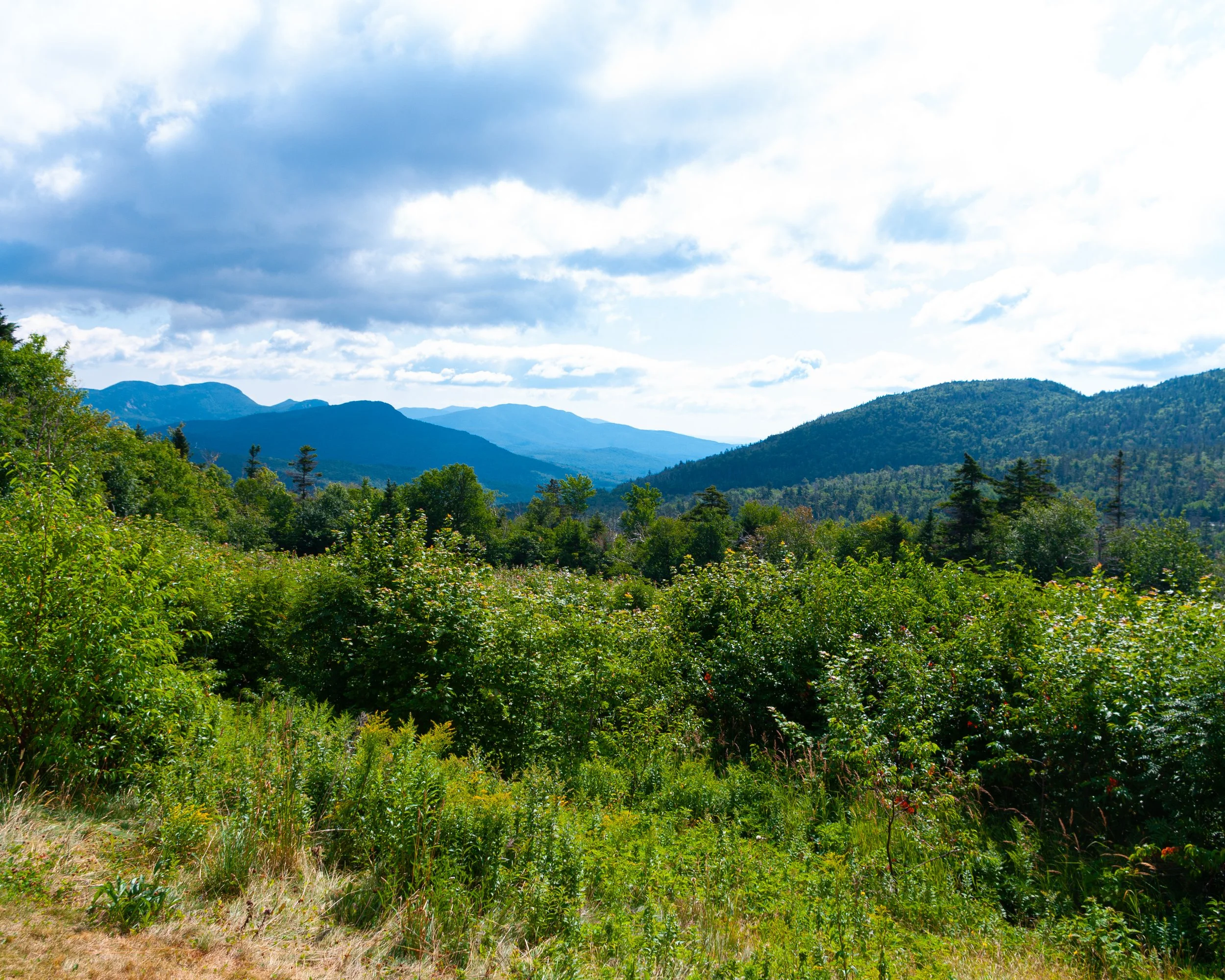 View from 'Kank' Highway in the White Mountains of New Hampshire