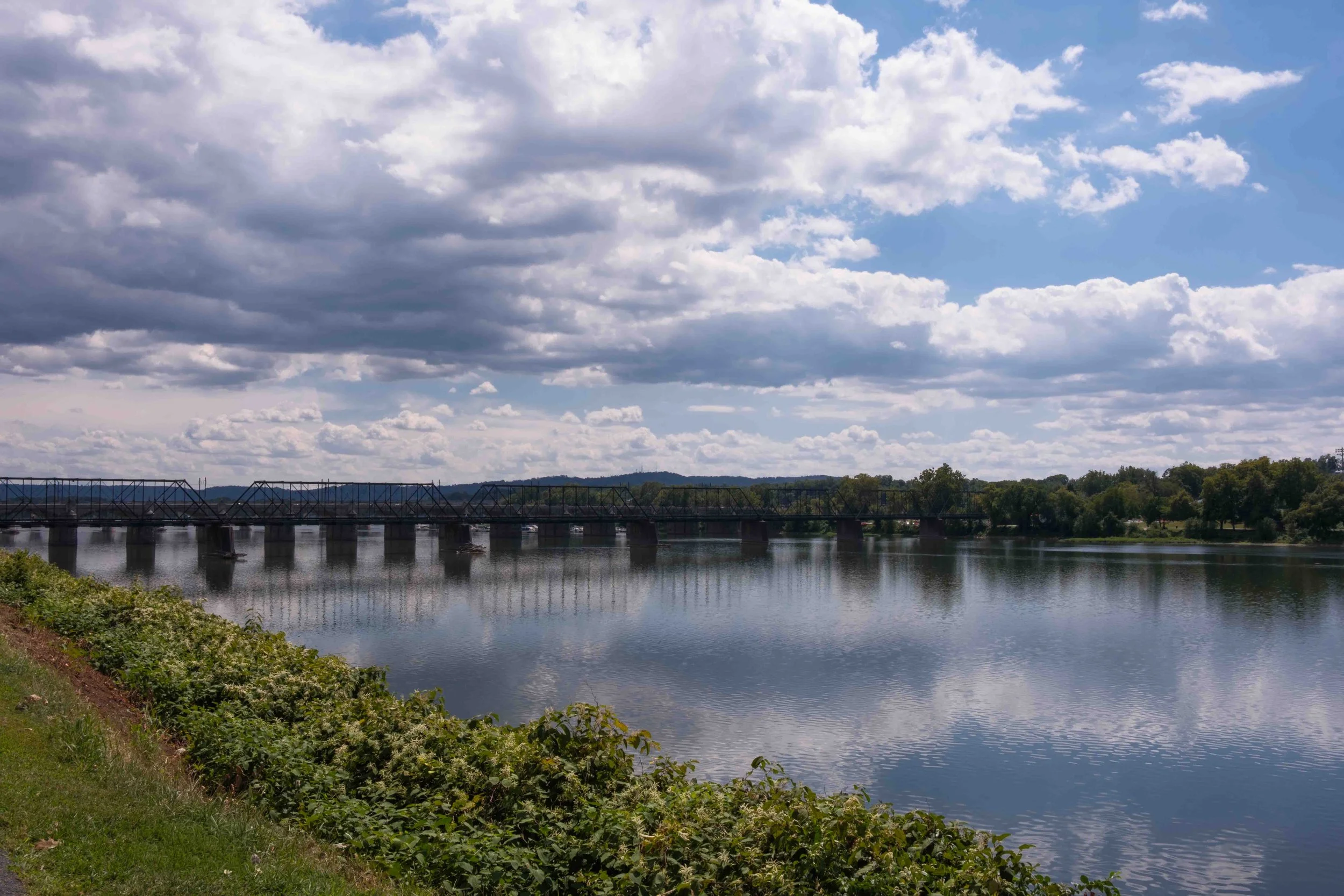 Footbridge and other Bridges over Susquehanna