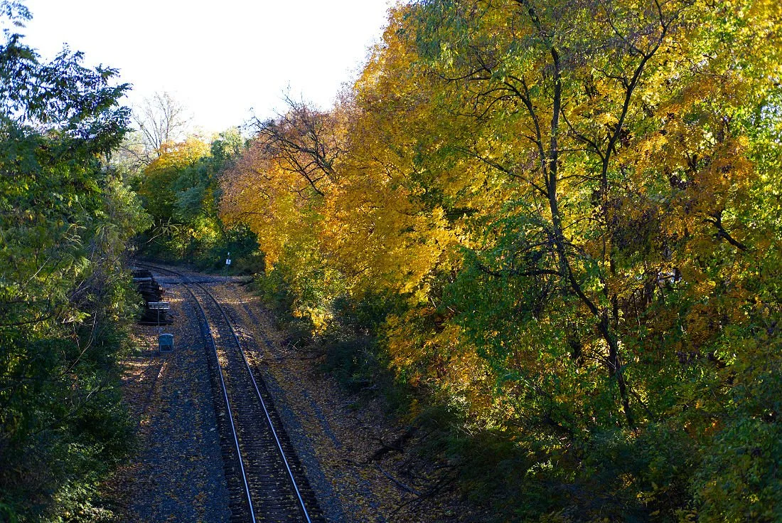 Freight Rail Line From Poplar Street Bridge on 4 November 2025