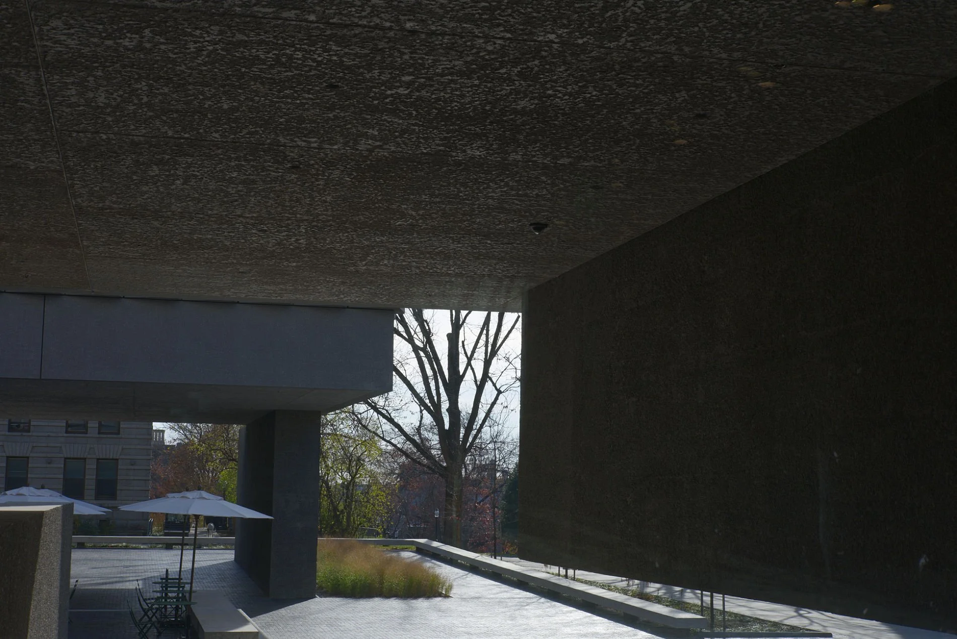 Overhang at the Princeton Art Museum