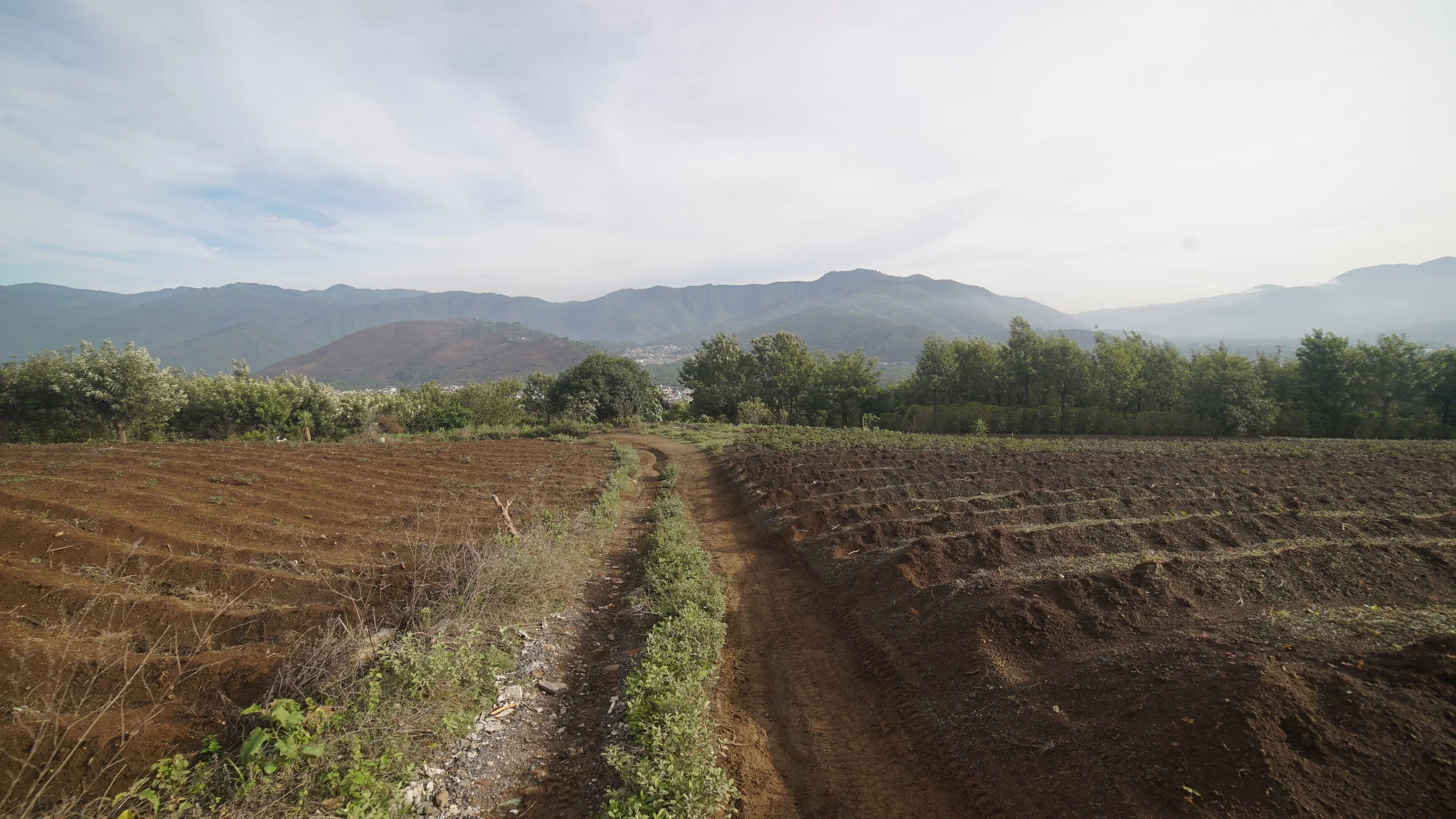 Choosing a 4x4 Truck for Off-Grid Life in Guatemala