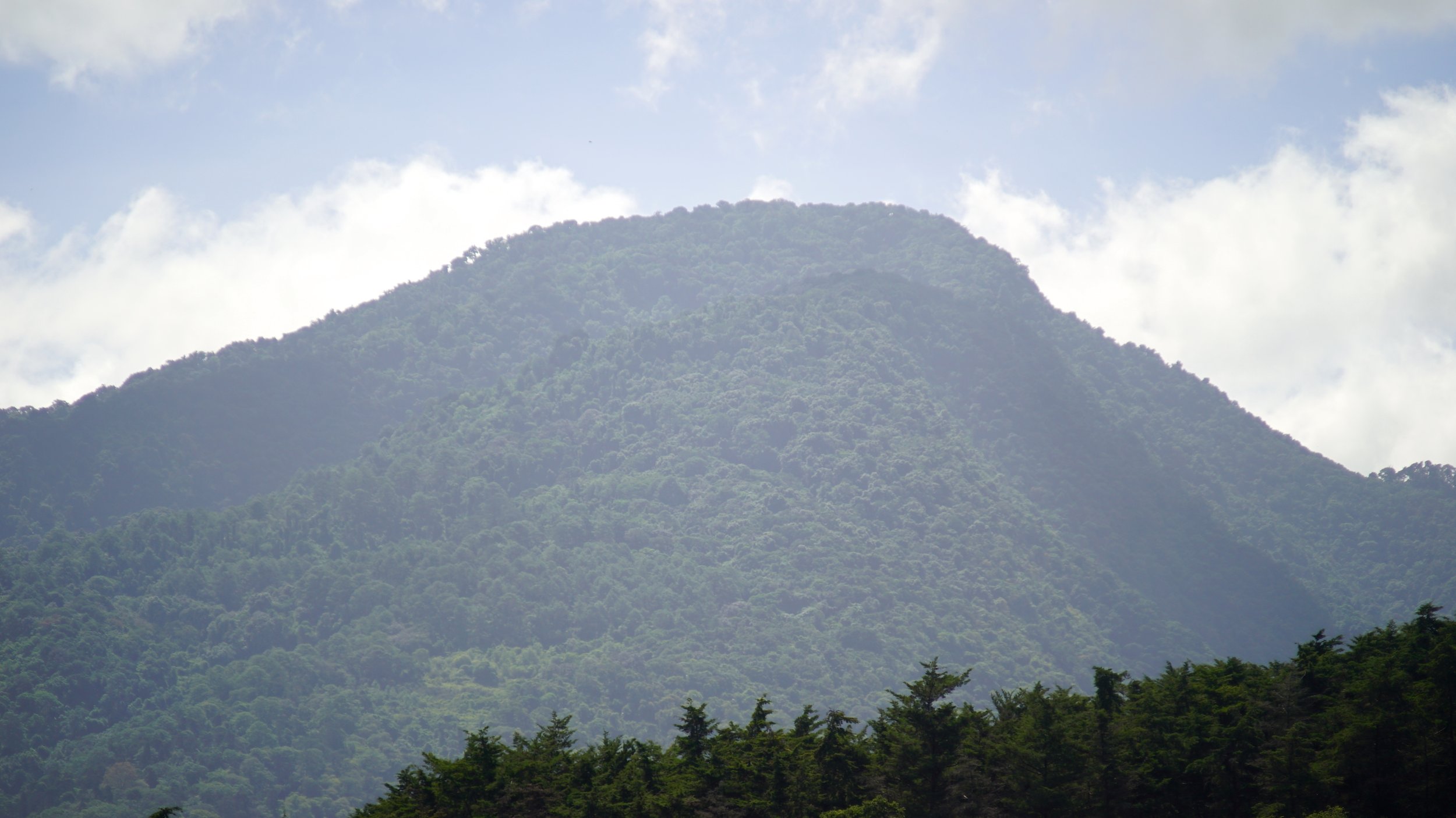 RANTS FROM THE MOUNTAIN: OWN ASSETS OR GET WIPED OUT
