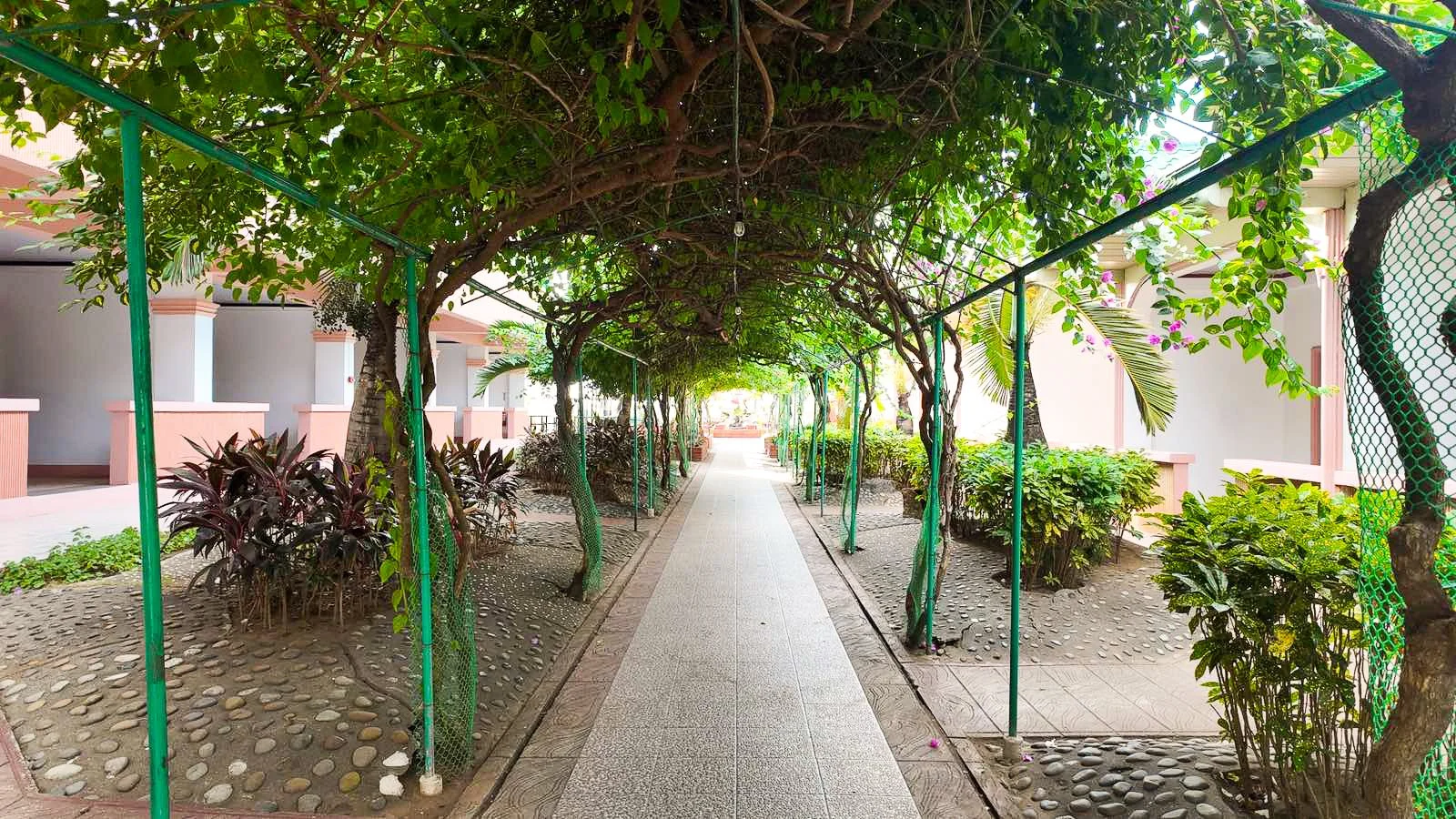 Small Steps Create Big Shifts