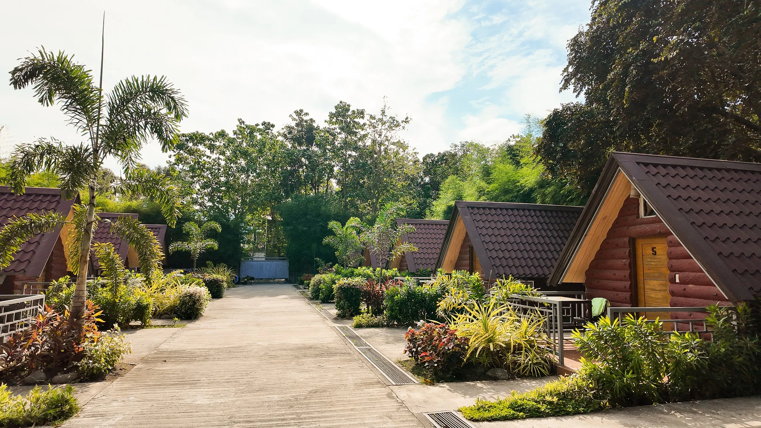 Turn Intention Into Action