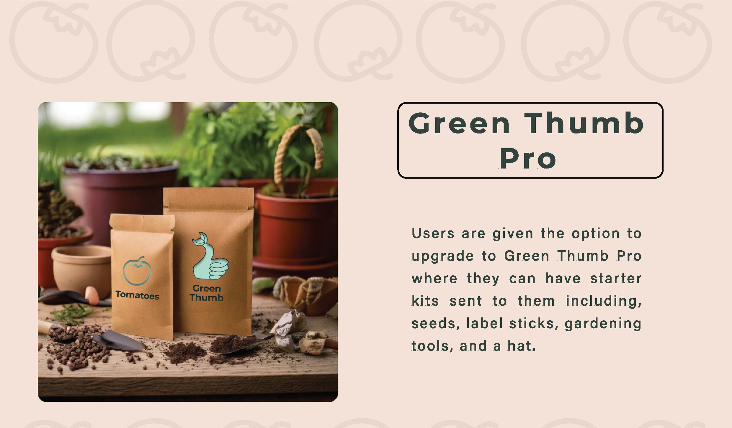 Green%252BThumb%252Bslide%252Bshow_Page_14.png