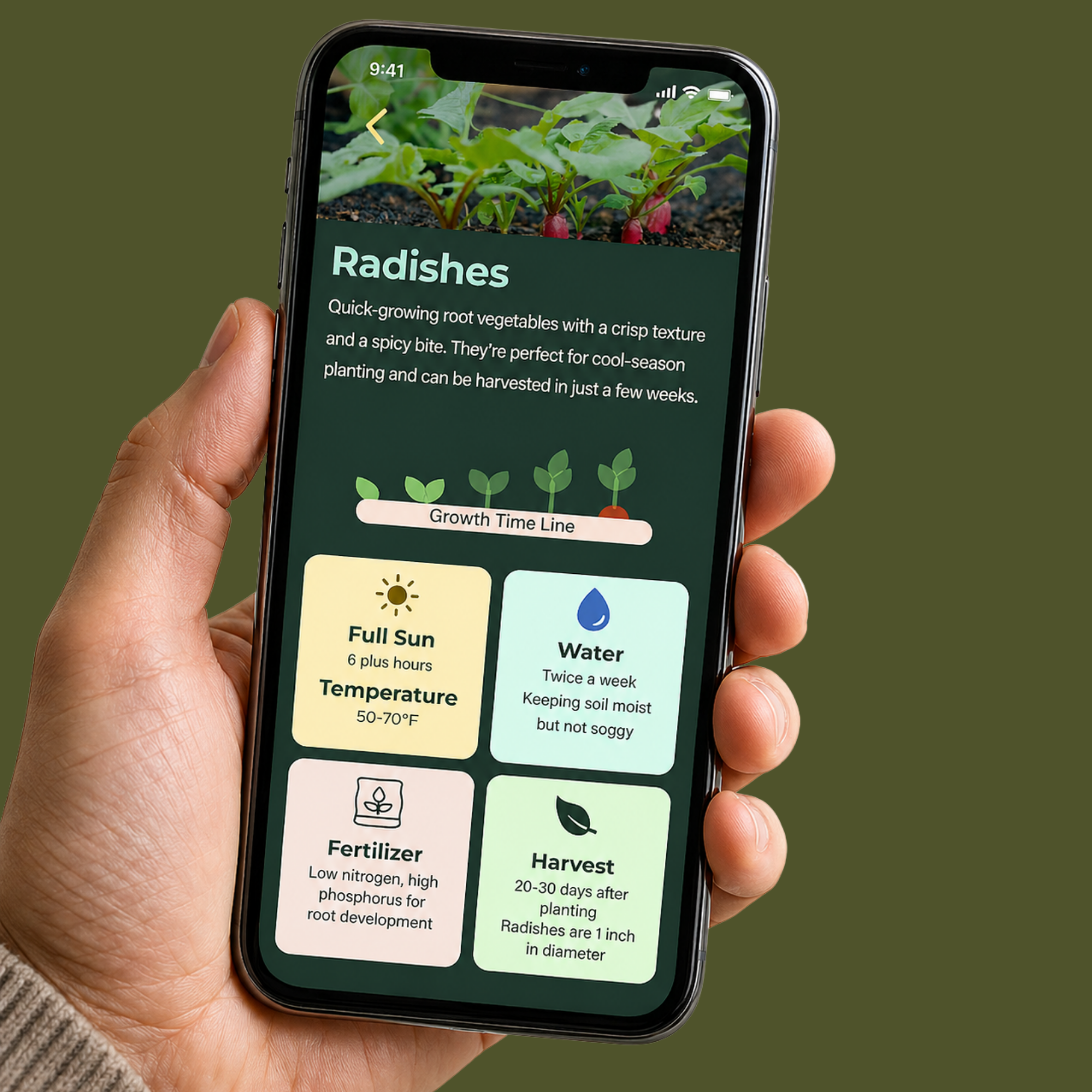 Green Thumb — User Experience