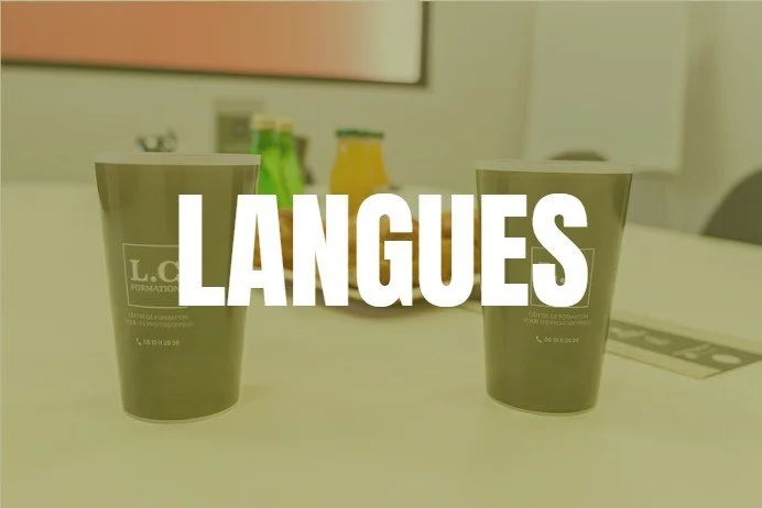 Formation langues