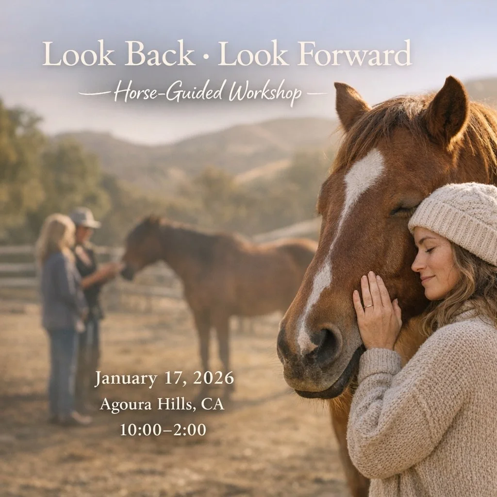 As one year closes and another begins, we&rsquo;re invited to pause.
To reflect. To release. To realign. ✨

Our Look Back, Look Forward Workshop is a heart-centered, horse-guided experience designed to help you gently honor where you&rsquo;ve been &m