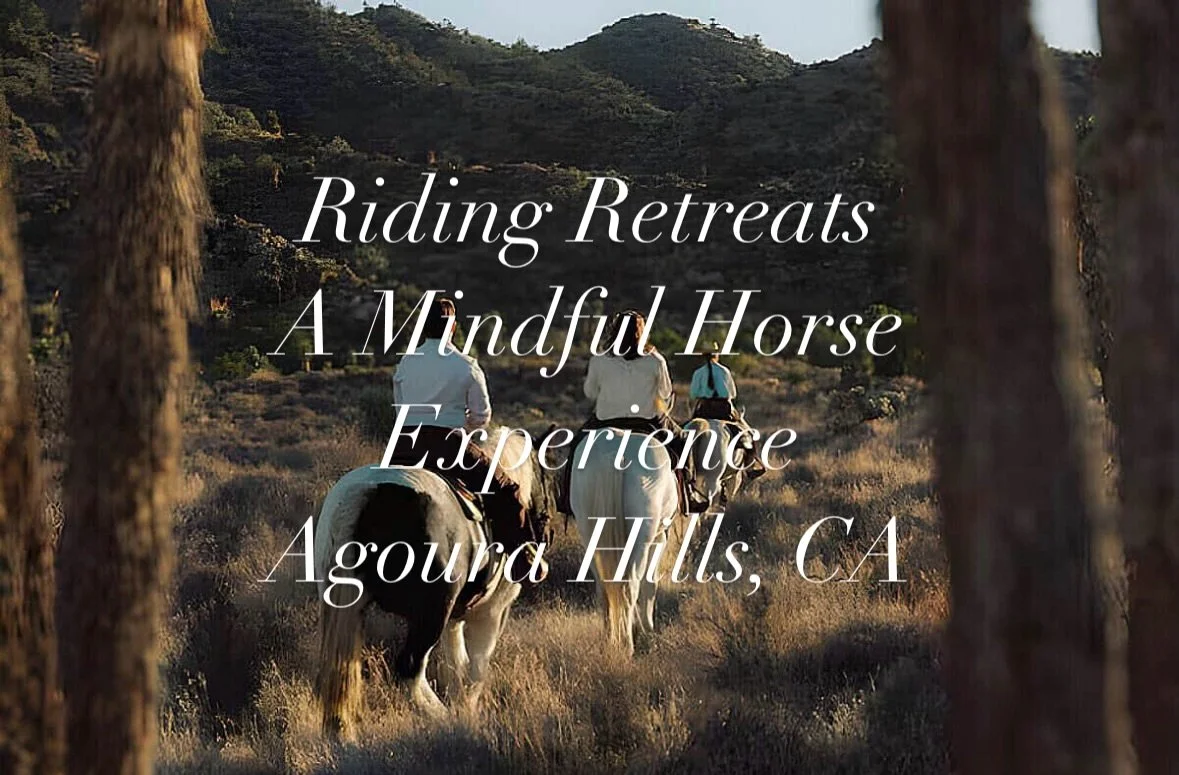Introducing our Riding Retreats &mdash; a deeply nourishing experience that blends mindful trail riding with intentional connection, reflection, and presence. 🐎✨

These retreats are designed for those who feel called to slow down, reconnect with the