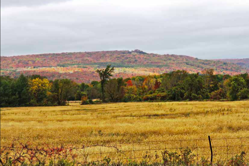 Clearview's Fun Festivals for Fall