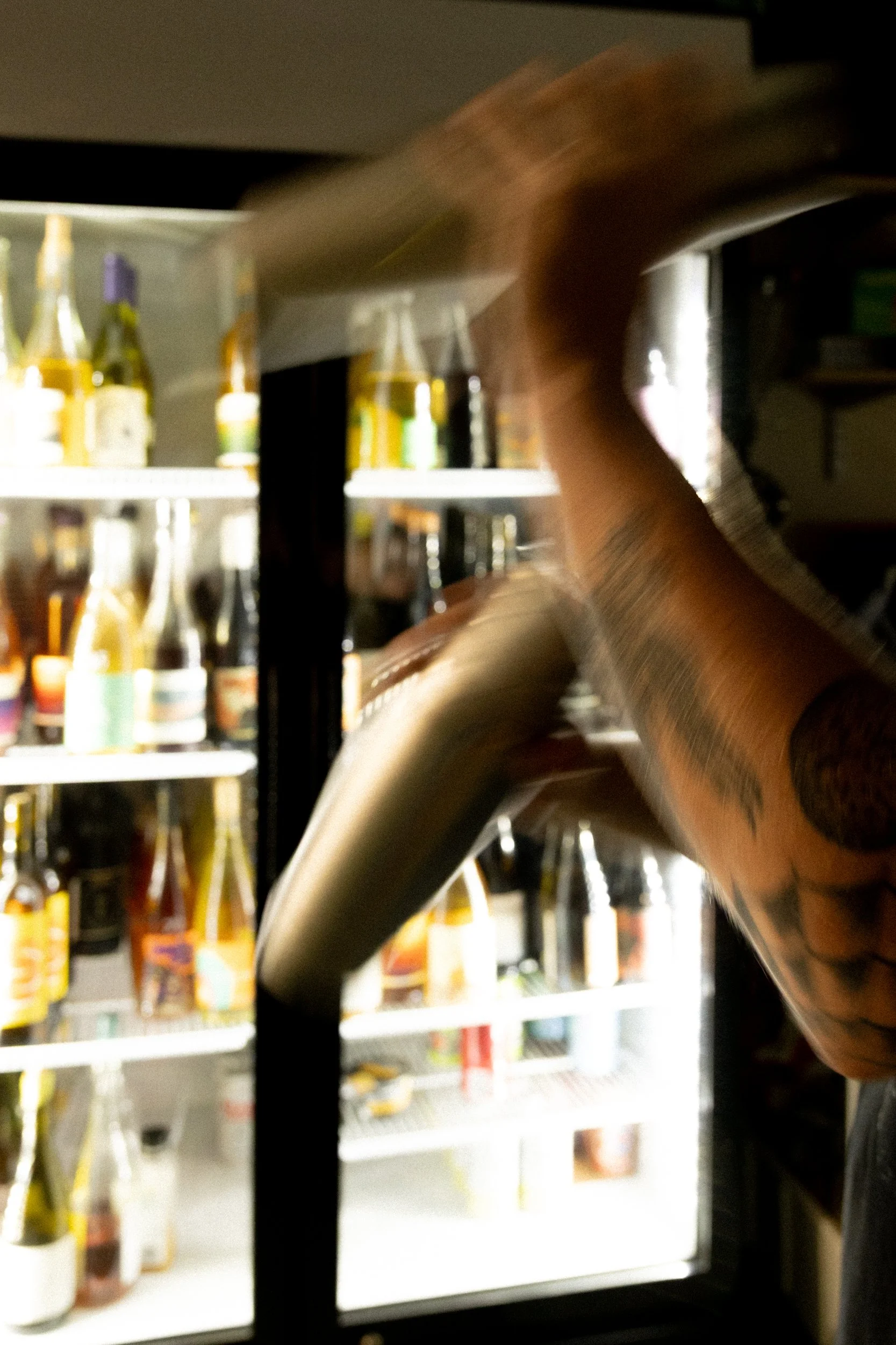 Camp Grounds Michaela Katrin 2026-4.jpg