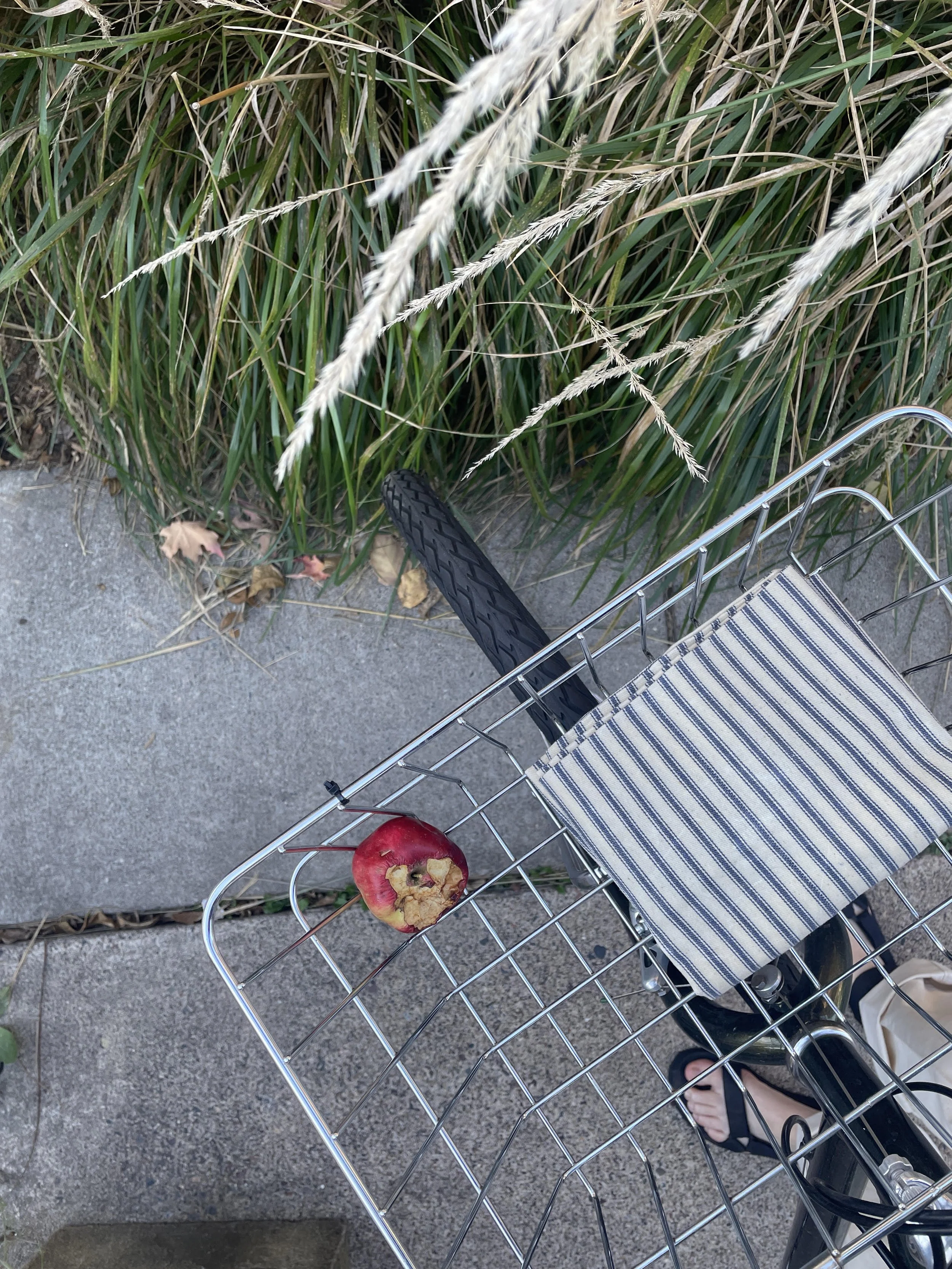 Pickin’ and Musing: October