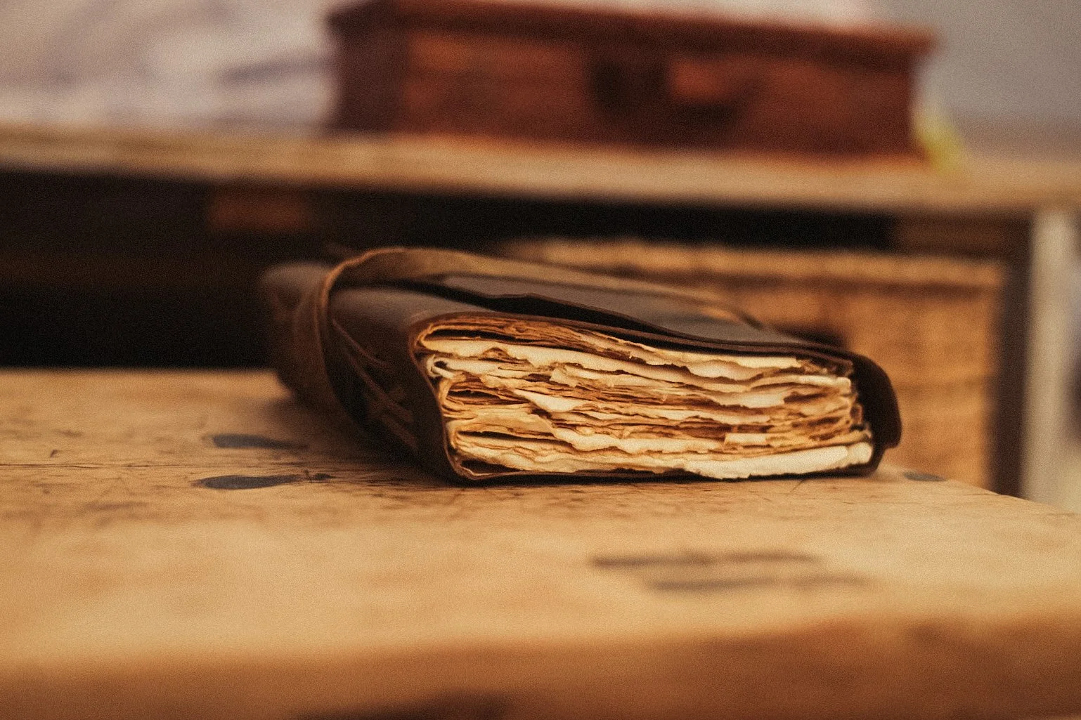 Fi Hoopman Photography