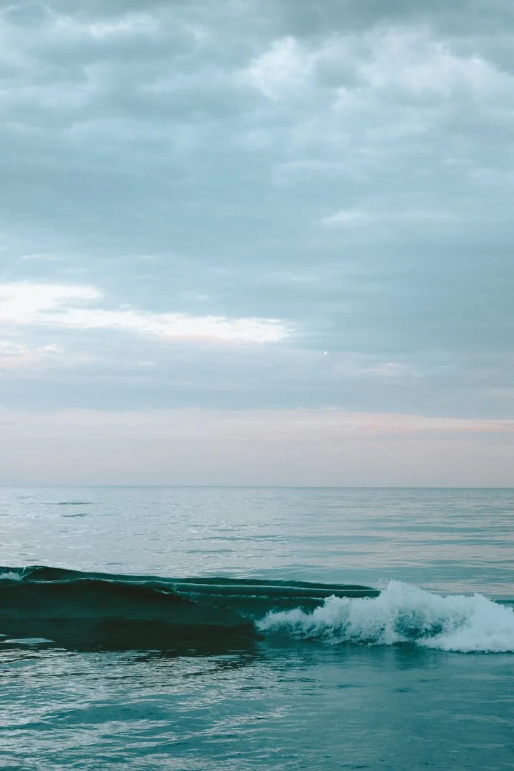 Fi Hoopman Photography