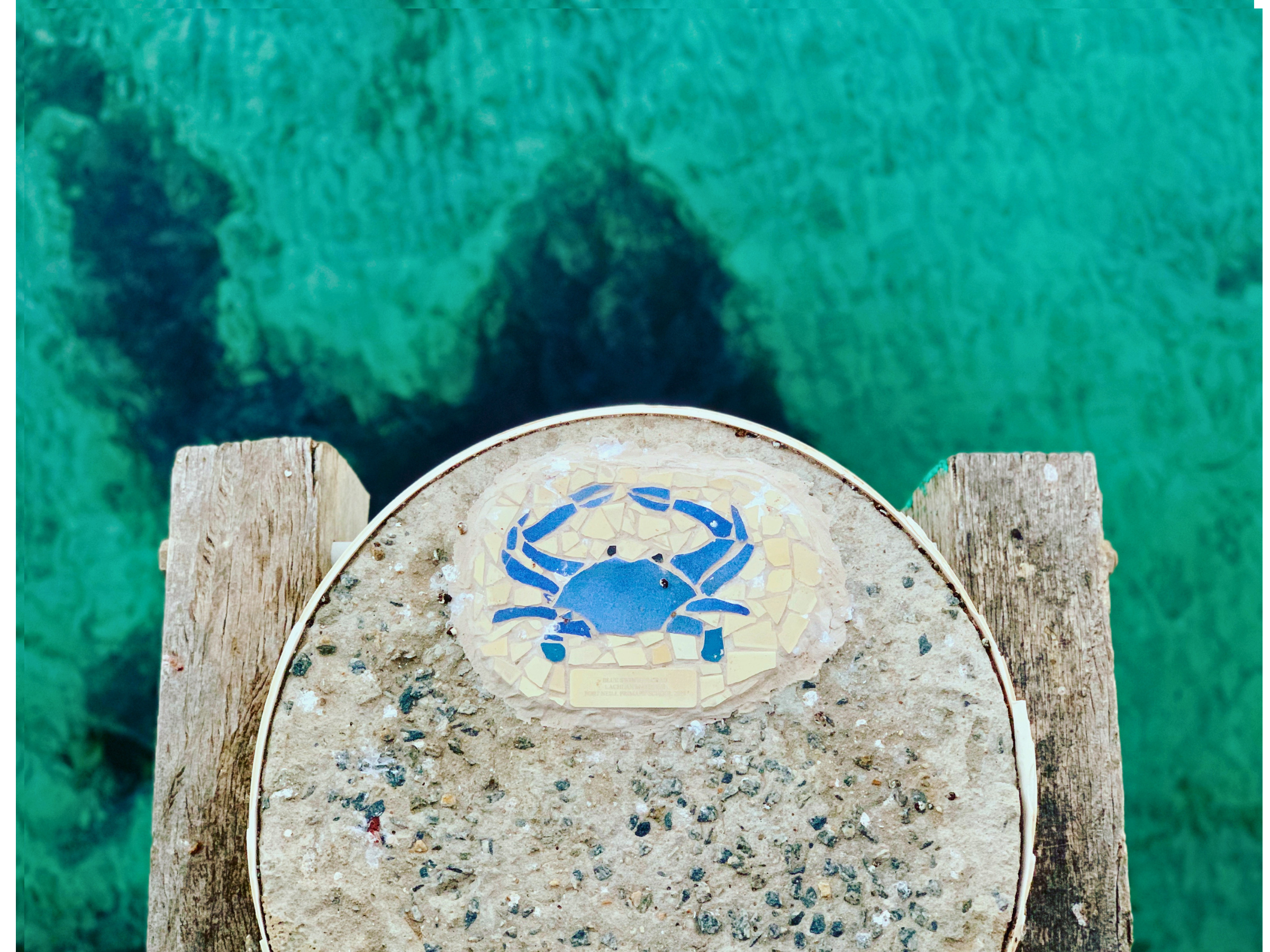 Top view of a mosaic plaque on a concrete surface, with a blue design and a plaque at the bottom, placed on a wooden dock over clear green water.