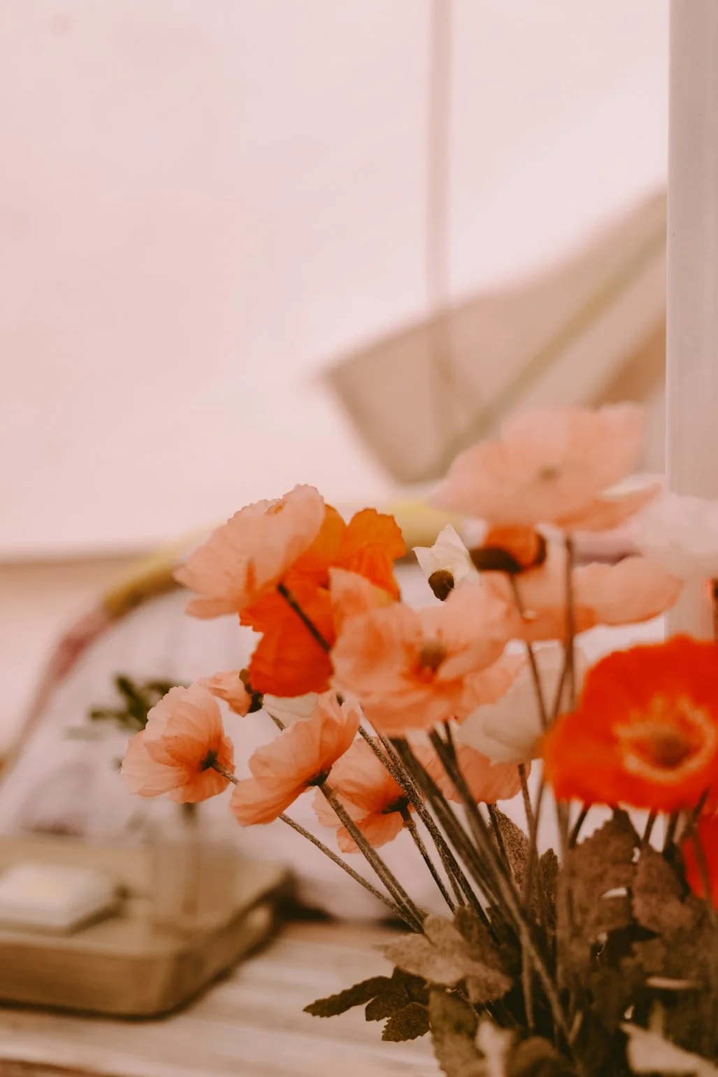 Reece Lachlan Photography