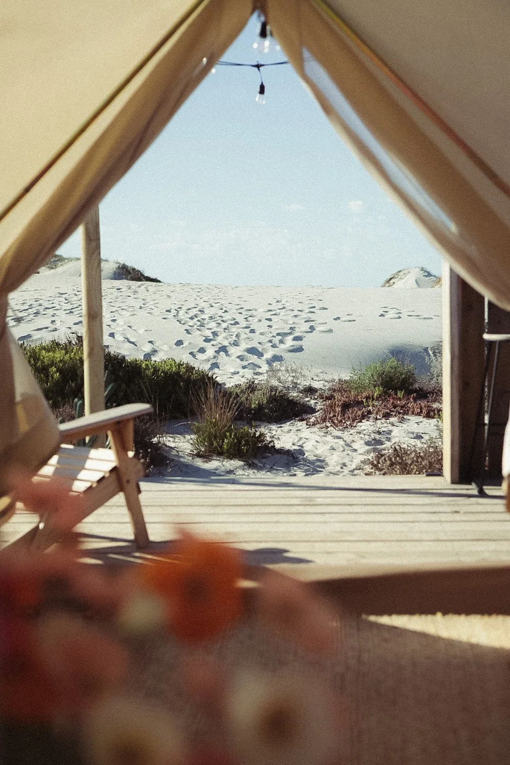 Fi Hoopman Photography